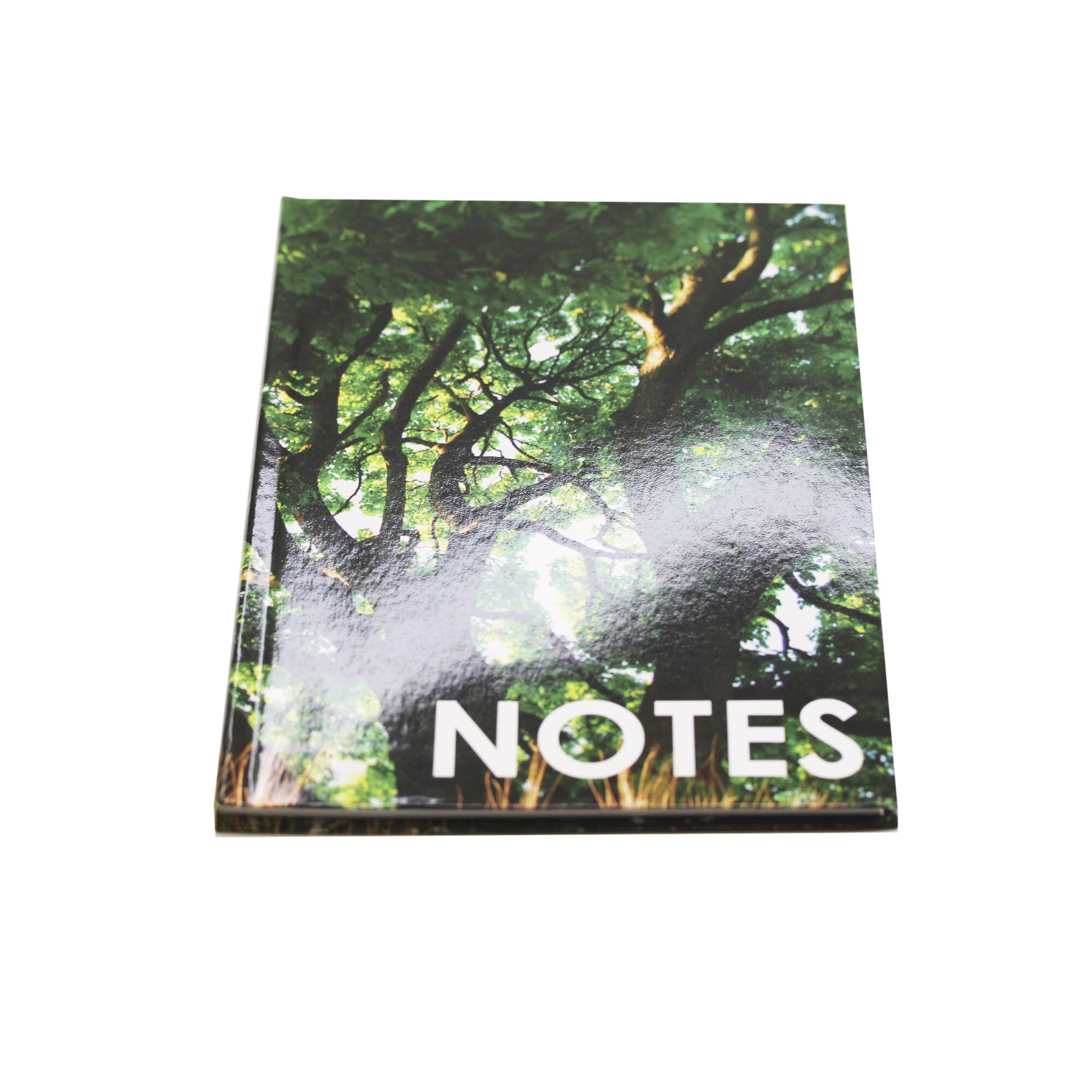 В кроне – ЕТИ580535 В кроне – ЕТИ580535