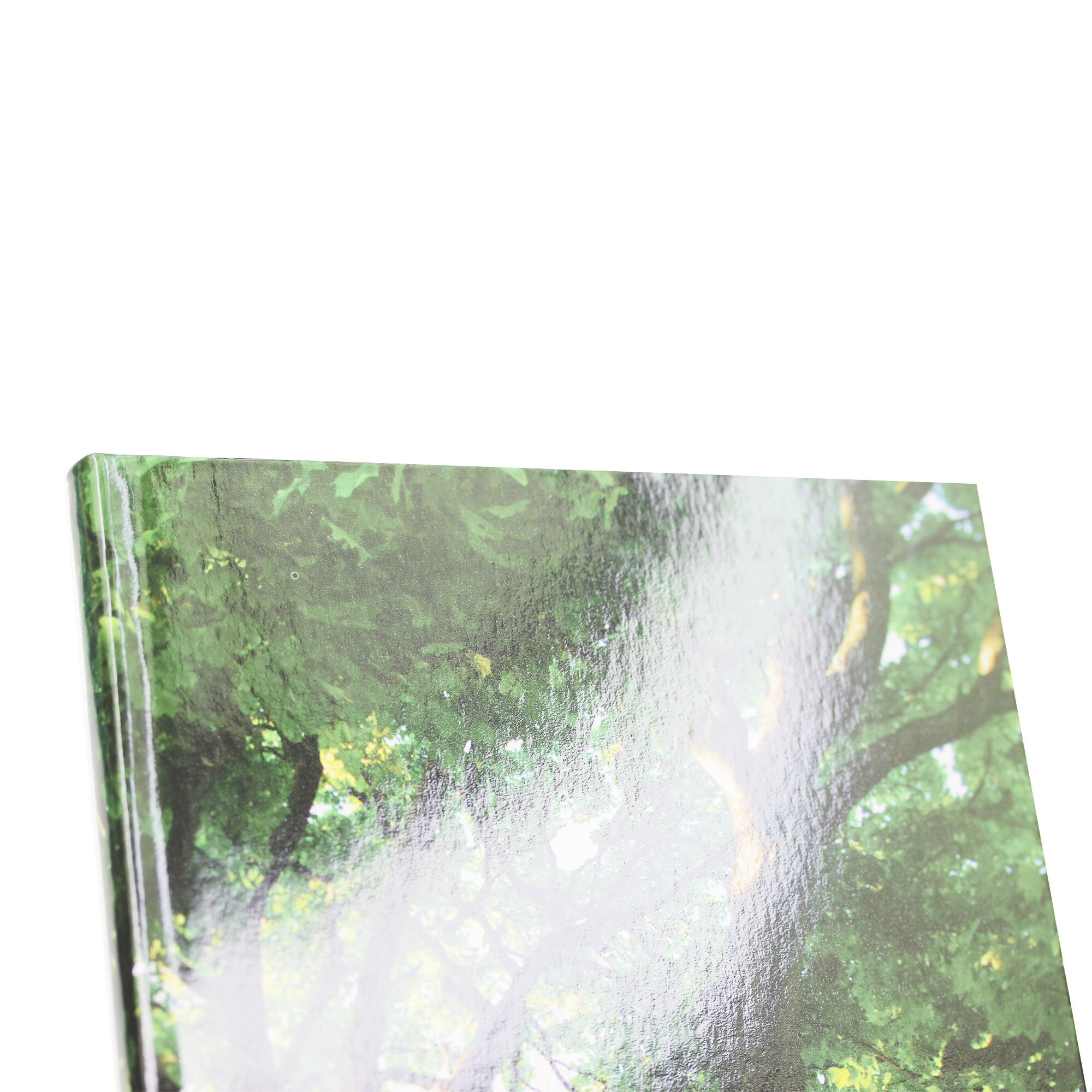 В кроне – ЕТИ580535 В кроне – ЕТИ580535