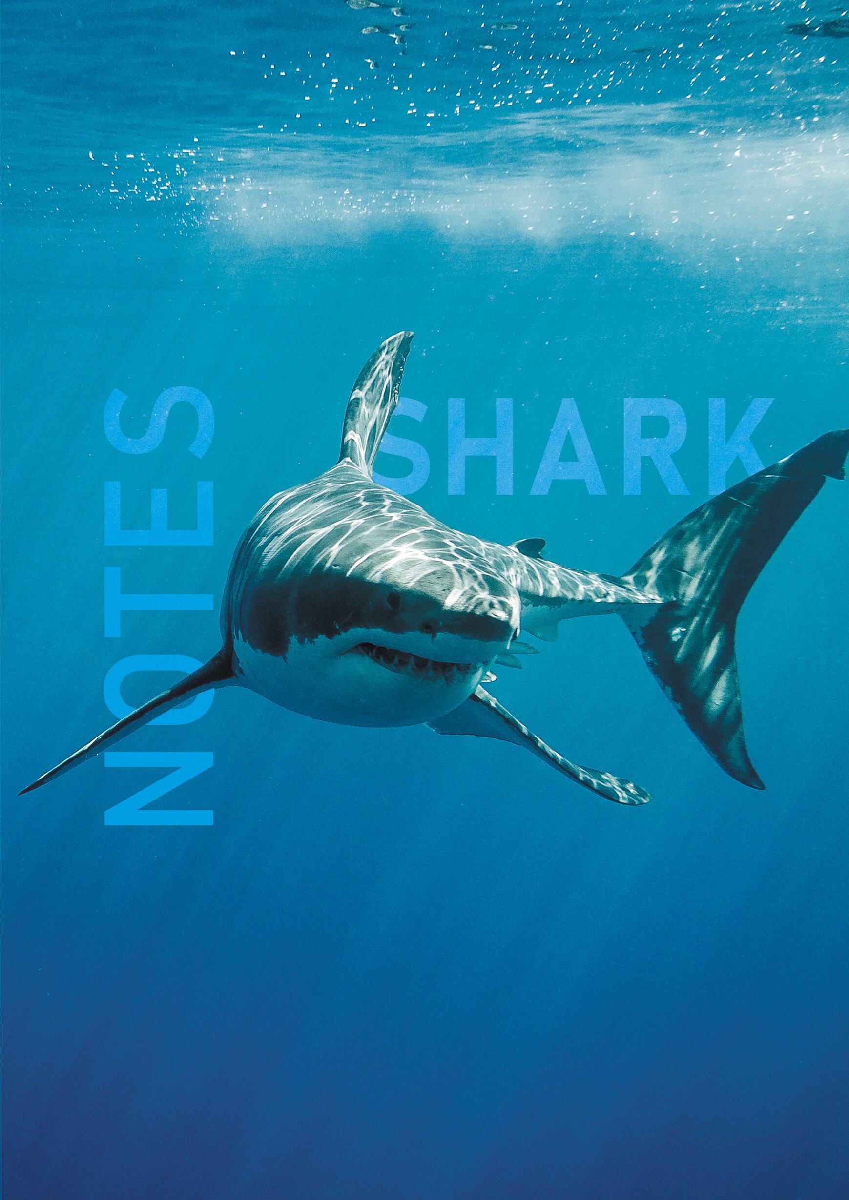 Shark – ЕТИ580539 Shark – ЕТИ580539