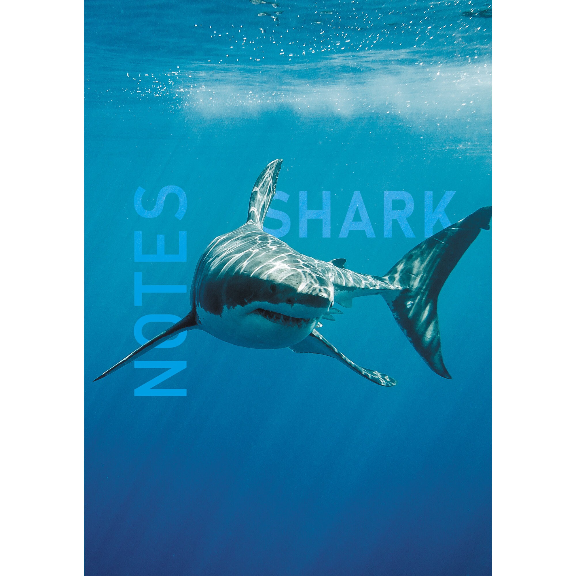 Shark – ЕТИ580539 Shark – ЕТИ580539