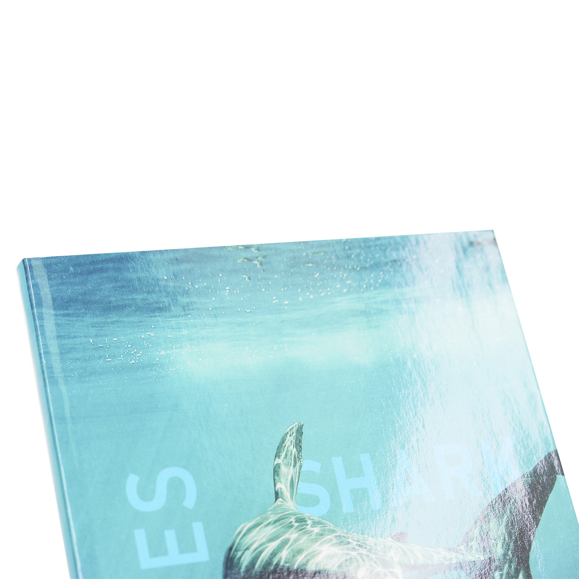 Shark – ЕТИ580539 Shark – ЕТИ580539