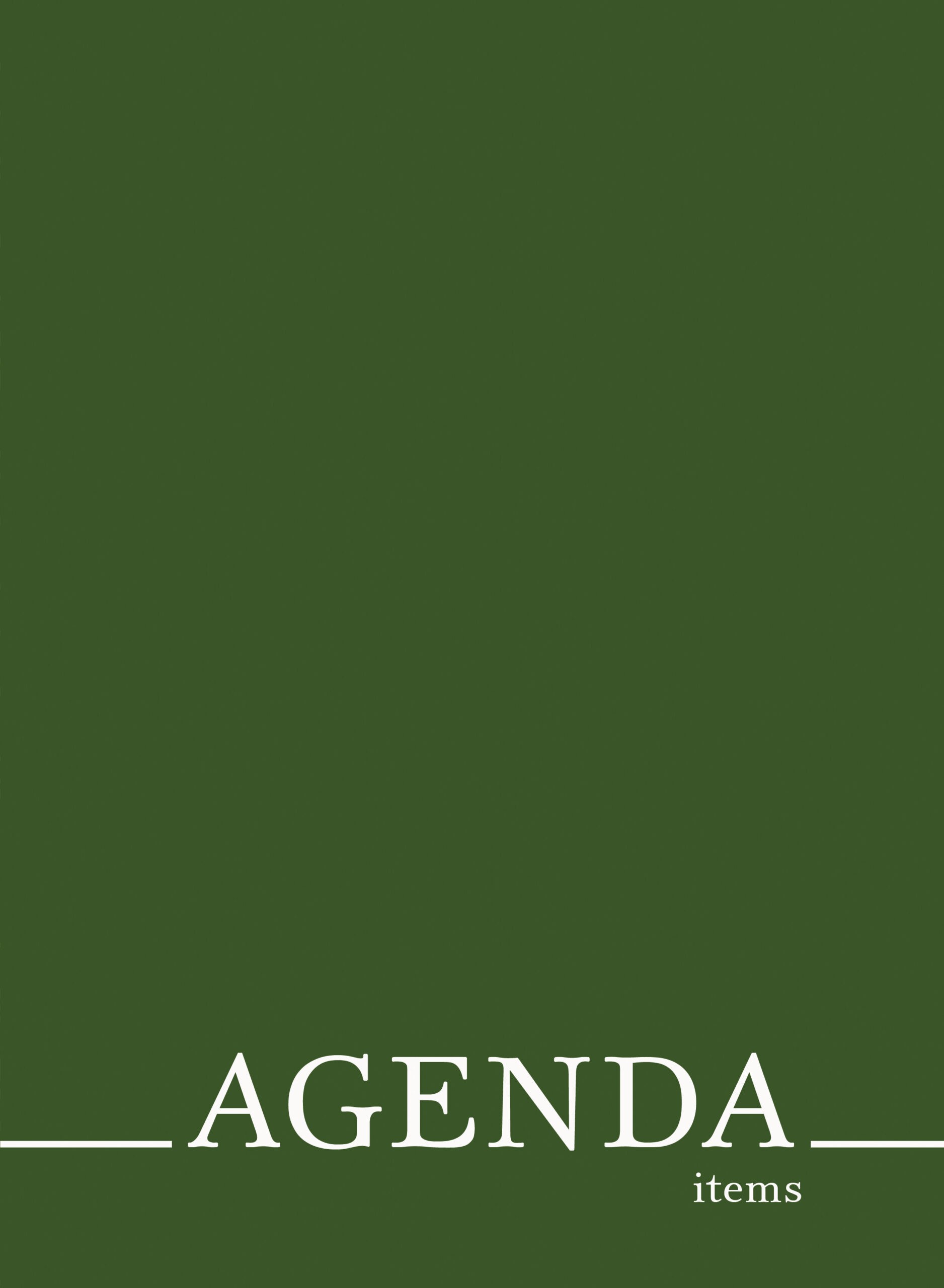 Agenda. Green – КЗЛЛ41203749 Agenda. Green – КЗЛЛ41203749