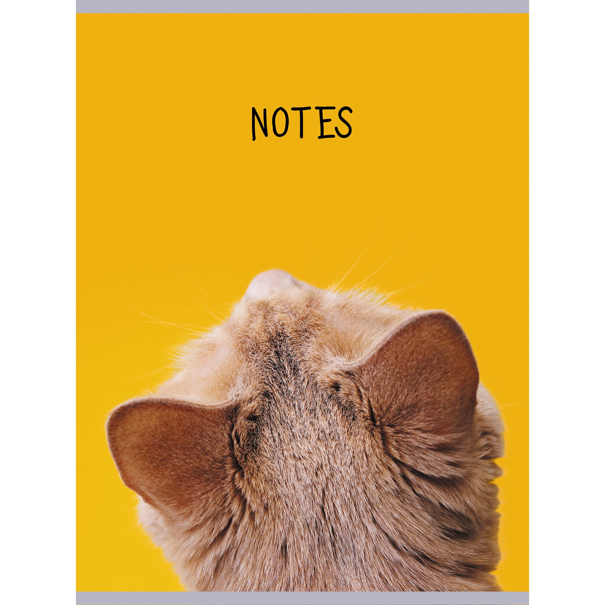 Внимательный помощник – Т4804967 Внимательный помощник – Т4804967