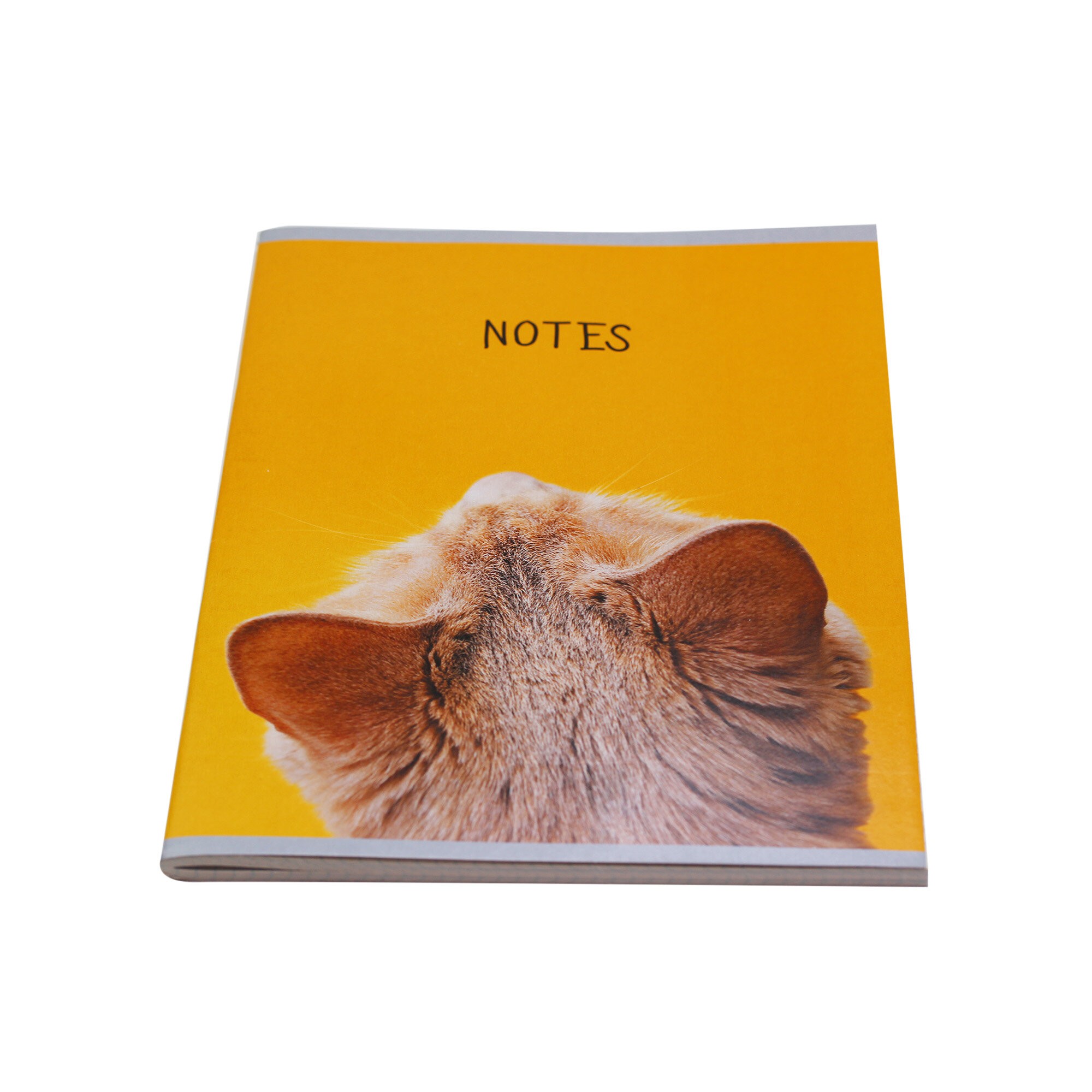 Внимательный помощник – Т4804967 Внимательный помощник – Т4804967