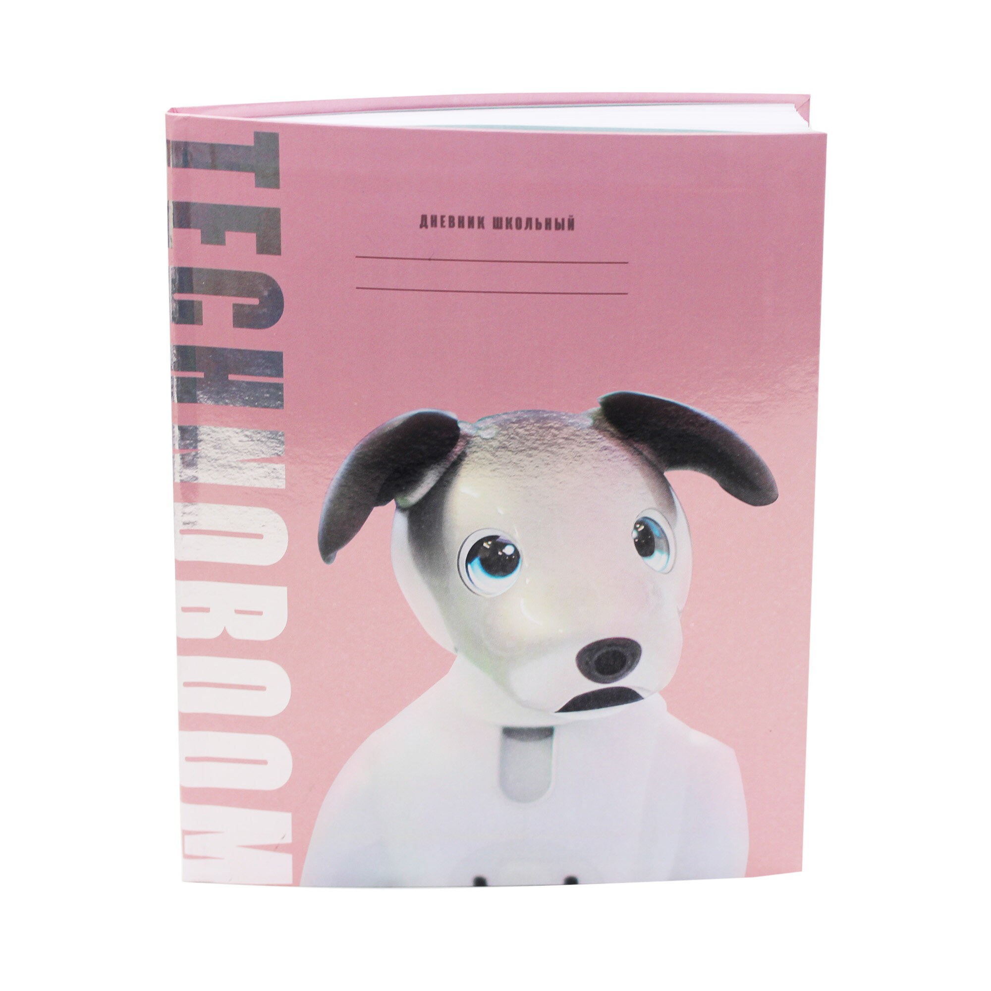 TechnoBoom. Дизайн 2 (23) – ДИТБГ234802 TechnoBoom. Дизайн 2 (23) – ДИТБГ234802