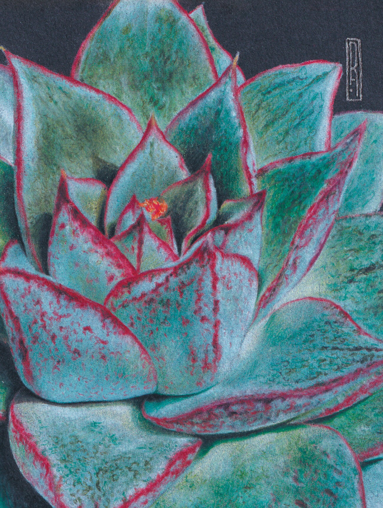 Succulent (Эксклюзив) – ЕТИЛ680616 Succulent (Эксклюзив) – ЕТИЛ680616