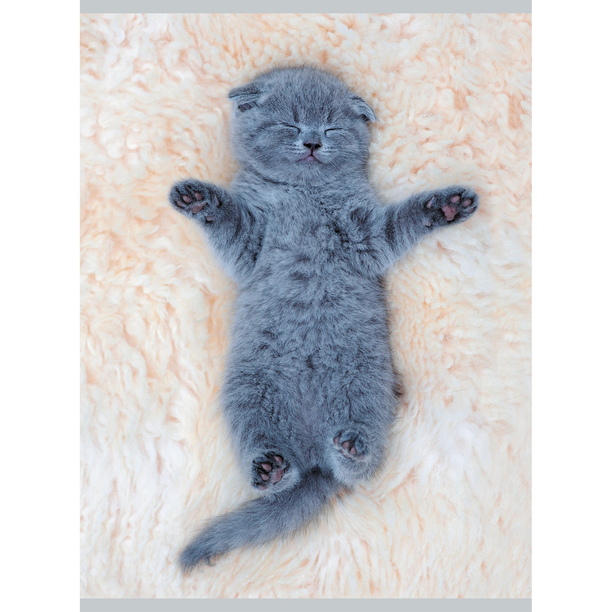 Погладь кота – Т4805085 Погладь кота – Т4805085