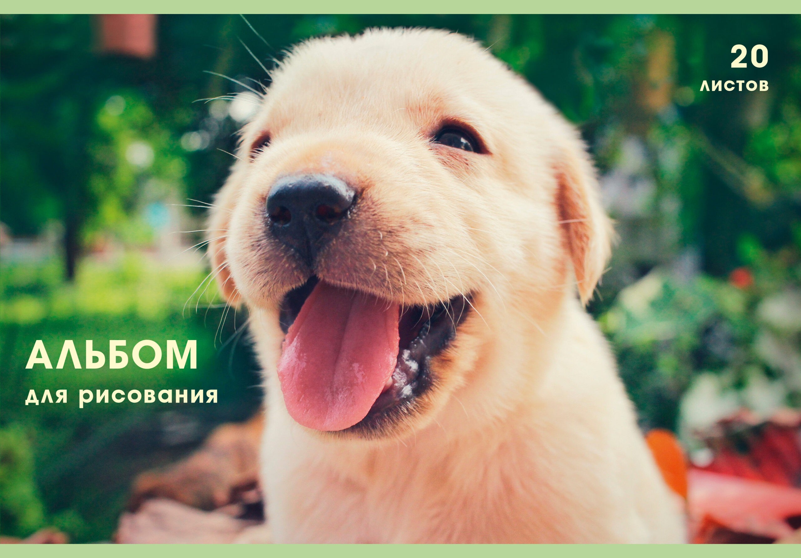 Славный щенок – А202491 Славный щенок – А202491