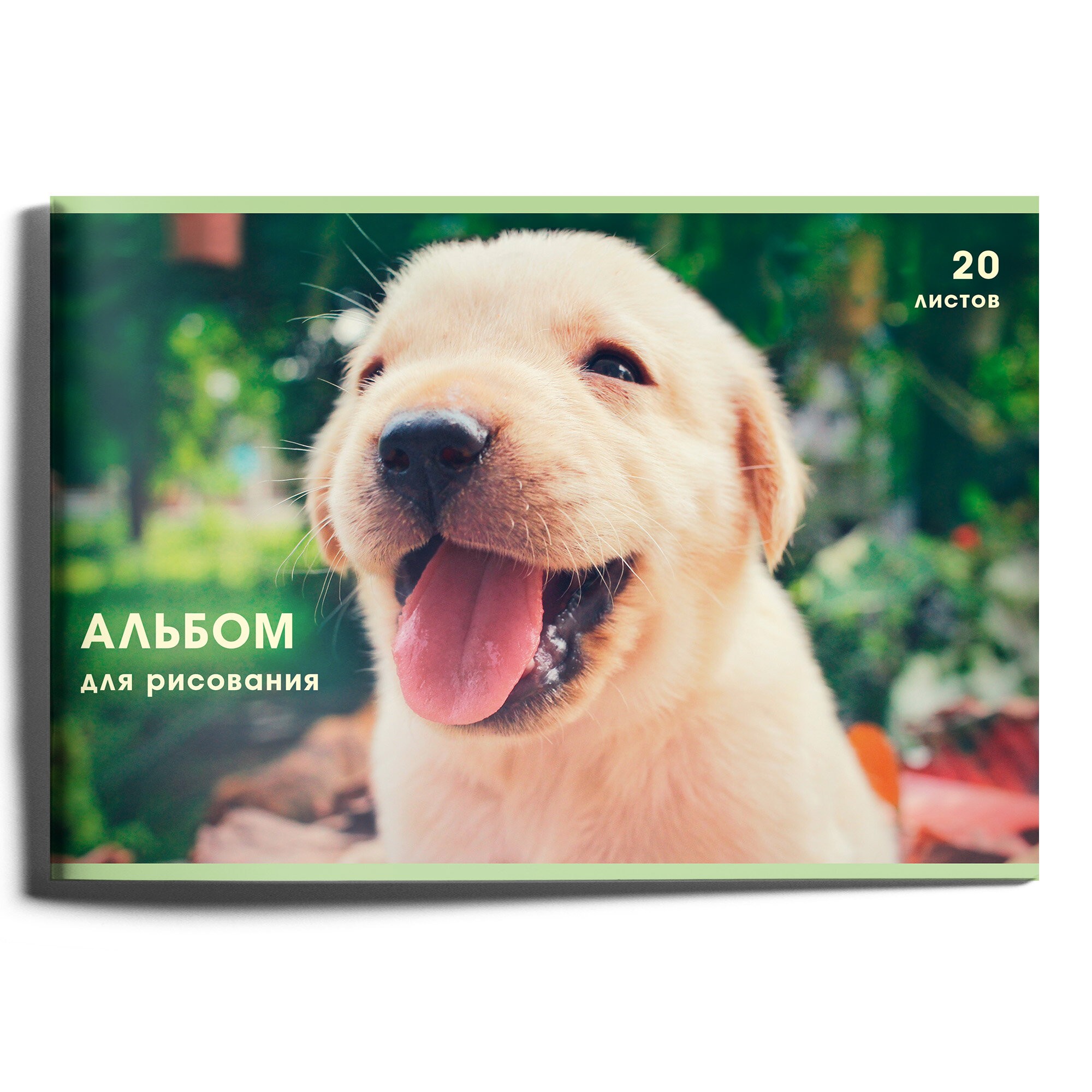 Славный щенок – А202491 Славный щенок – А202491