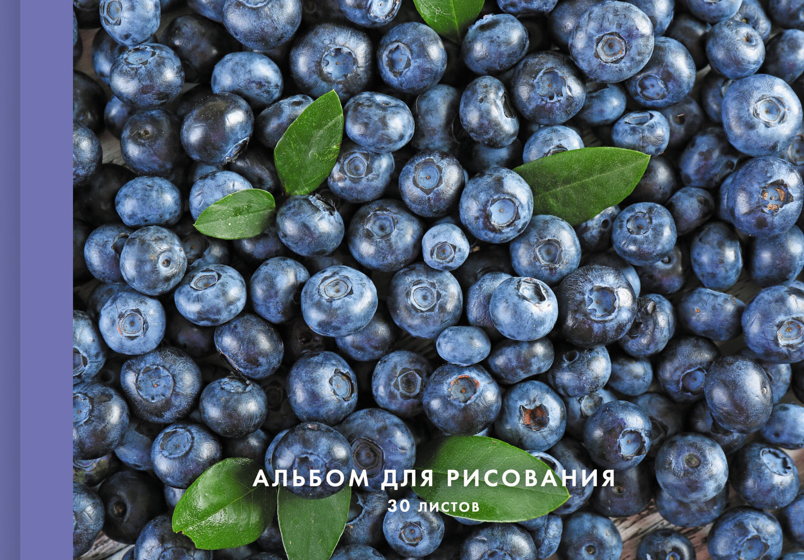 Голубика – А2Л302299 Голубика – А2Л302299