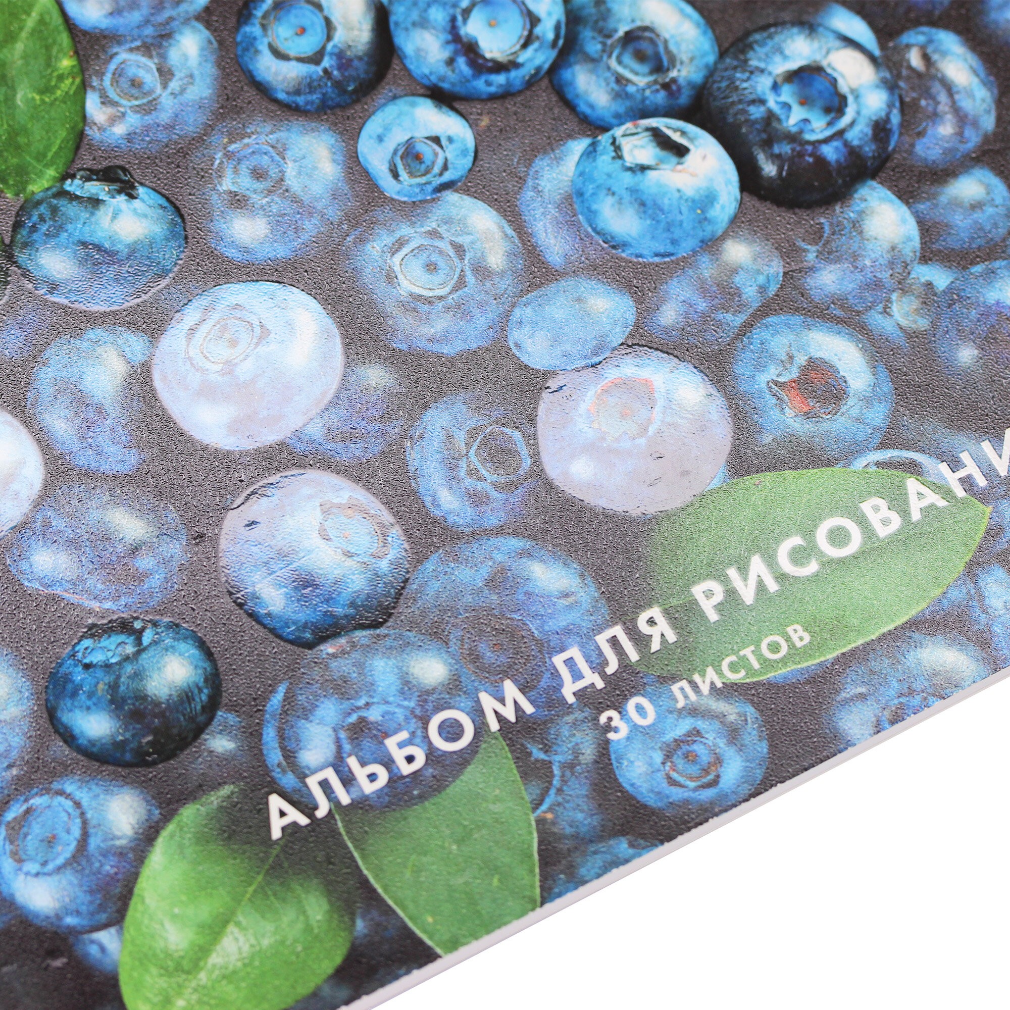 Голубика – А2Л302299 Голубика – А2Л302299