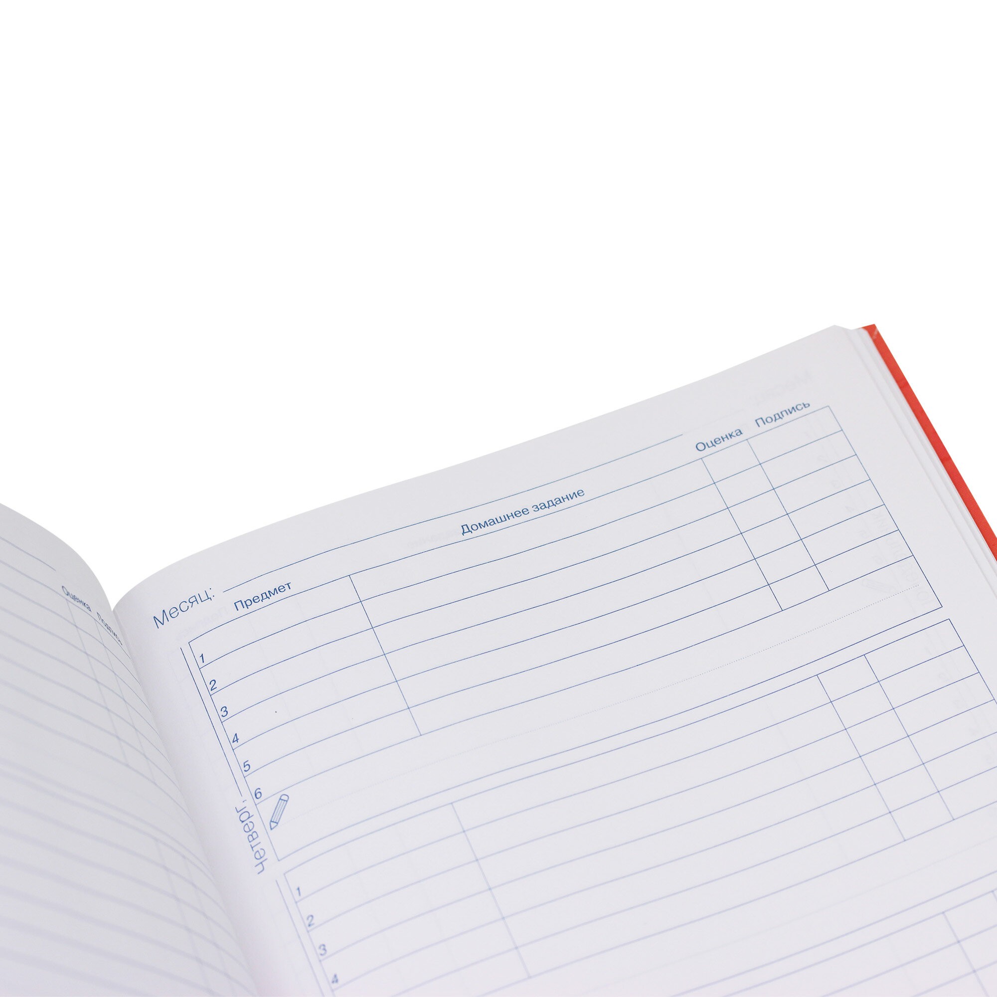 Лучшие друзья – ДИМ224805 Лучшие друзья – ДИМ224805