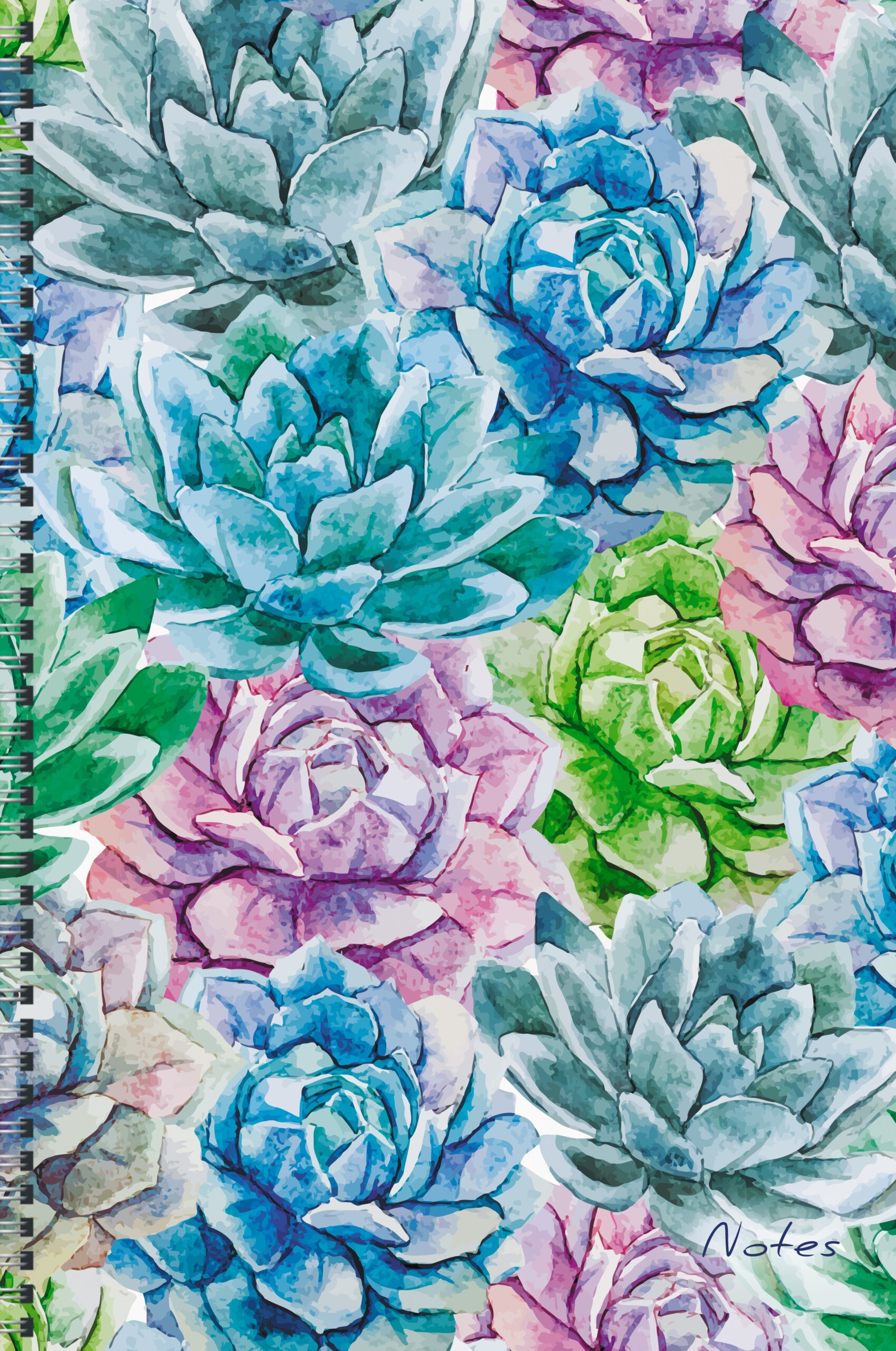 Succulent – ТСБ4964936 Succulent – ТСБ4964936