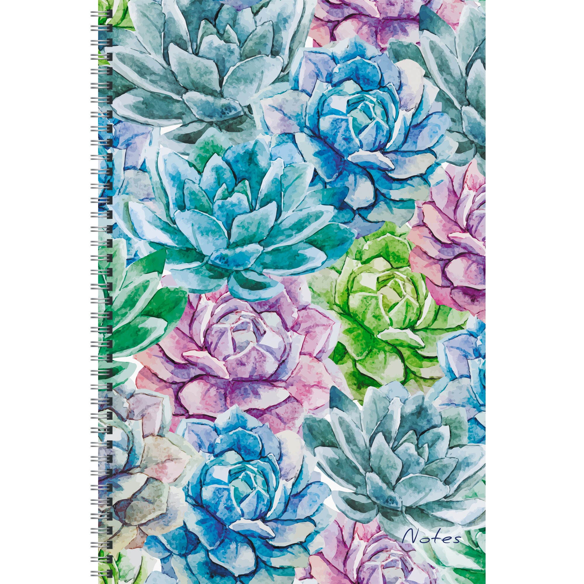 Succulent – ТСБ4964936 Succulent – ТСБ4964936