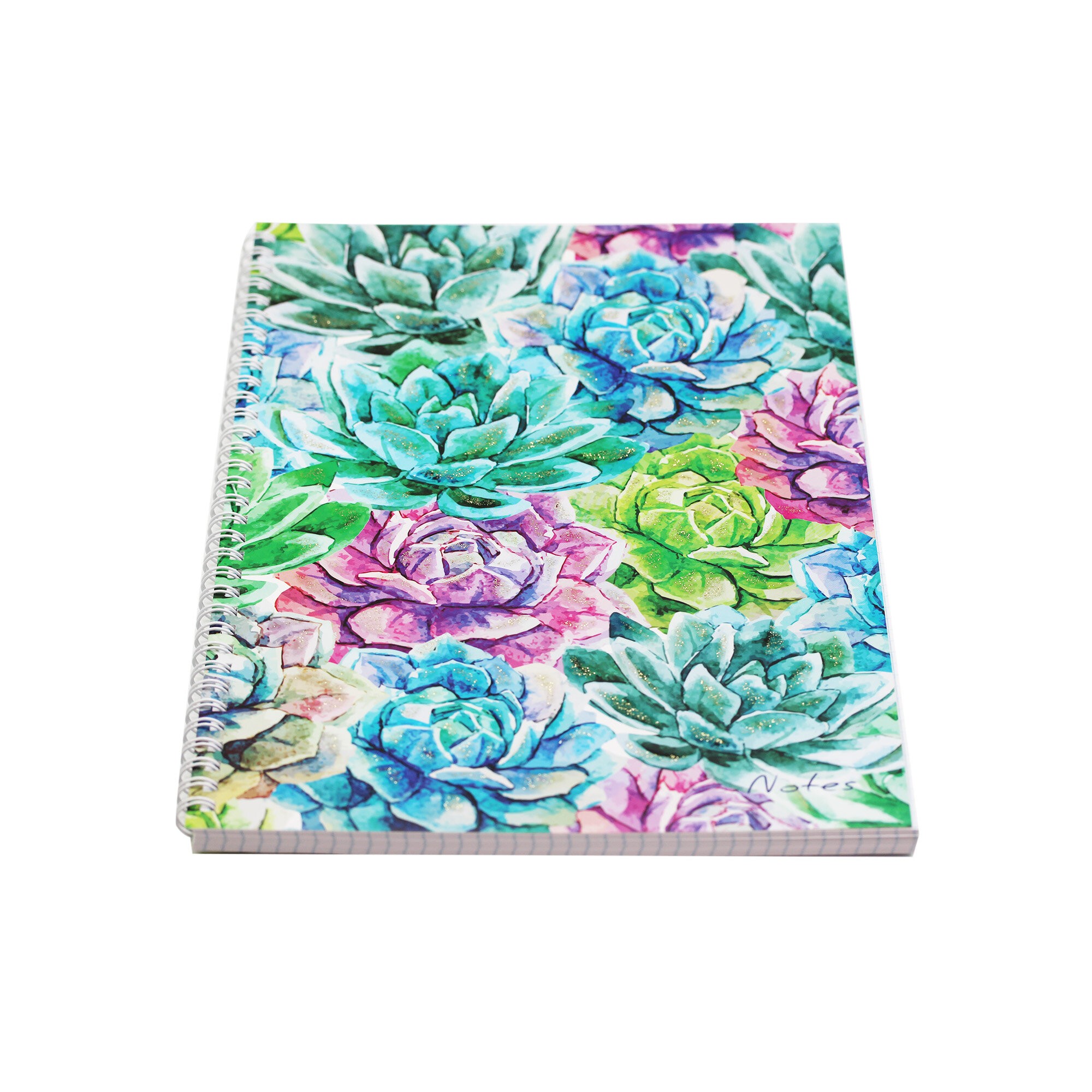 Succulent – ТСБ4964936 Succulent – ТСБ4964936