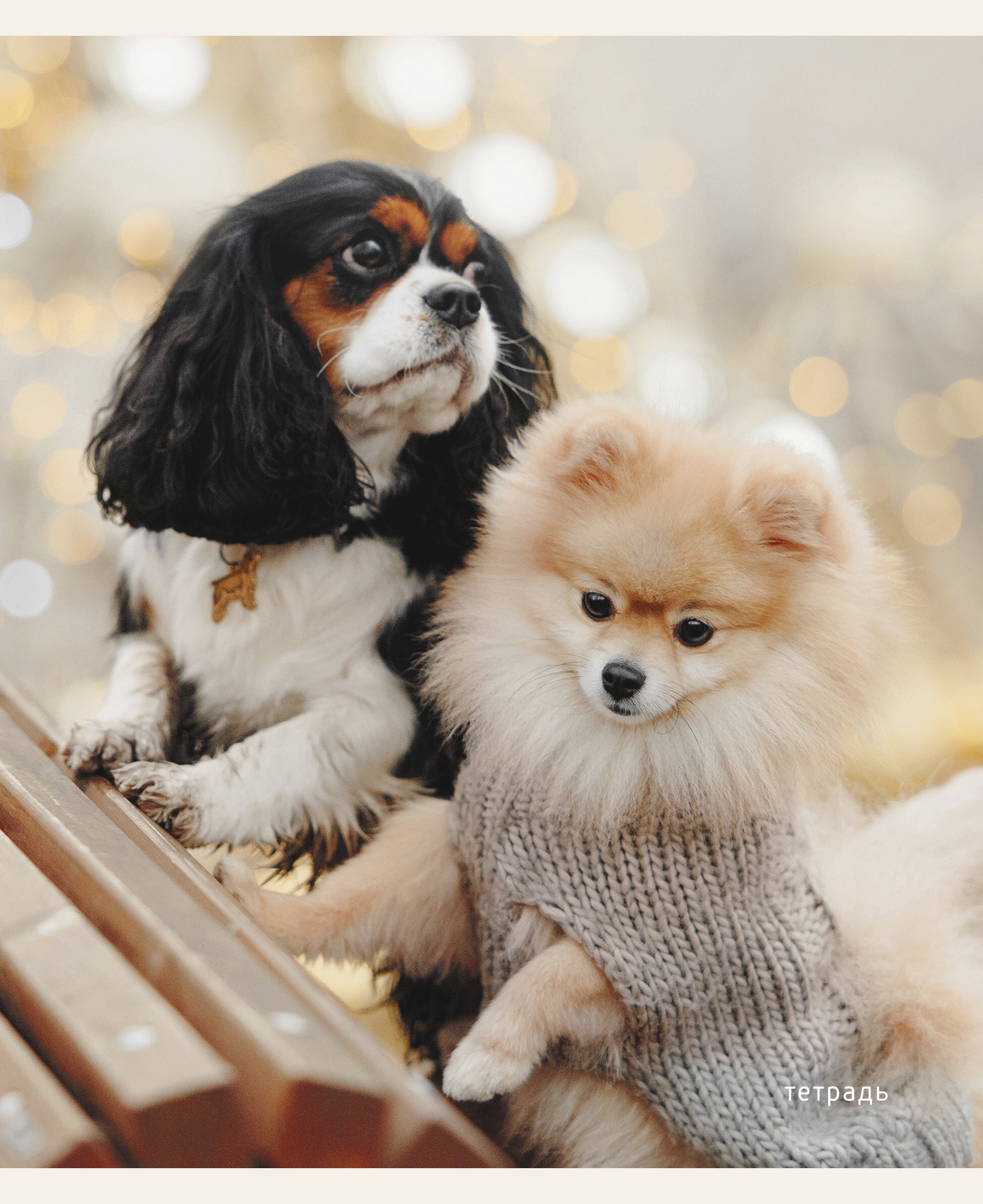 Пушистые друзья – ТК968386 Пушистые друзья – ТК968386