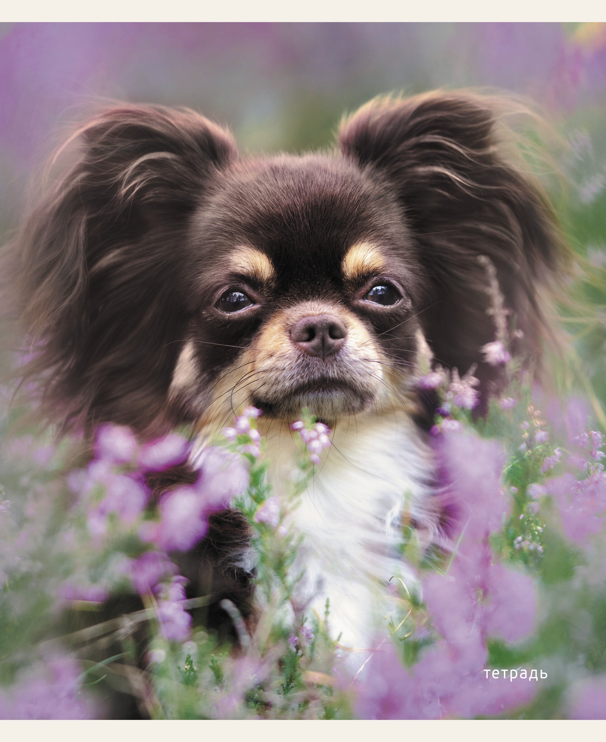 Пушистые друзья – ТК968386 Пушистые друзья – ТК968386