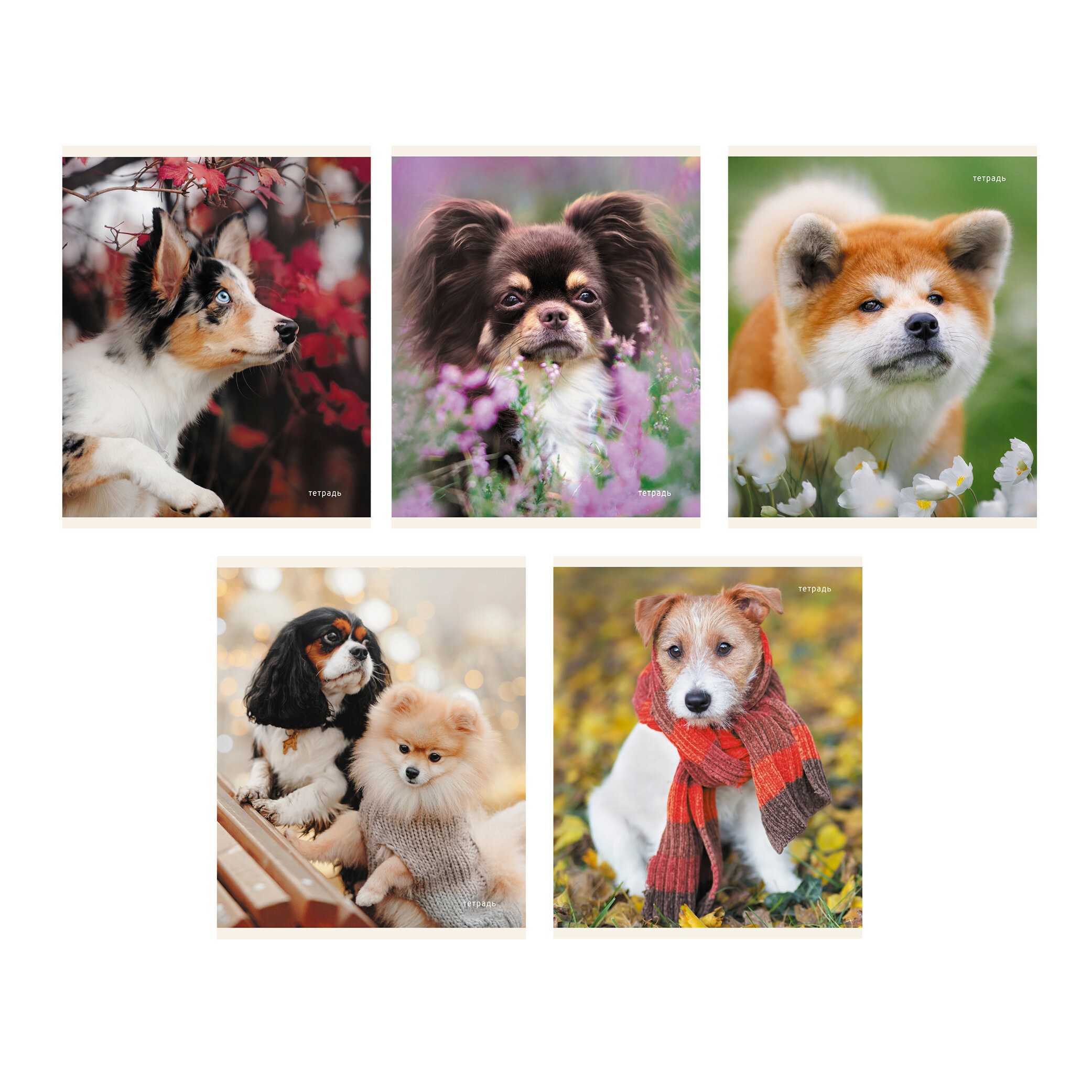 Пушистые друзья – ТК968386 Пушистые друзья – ТК968386