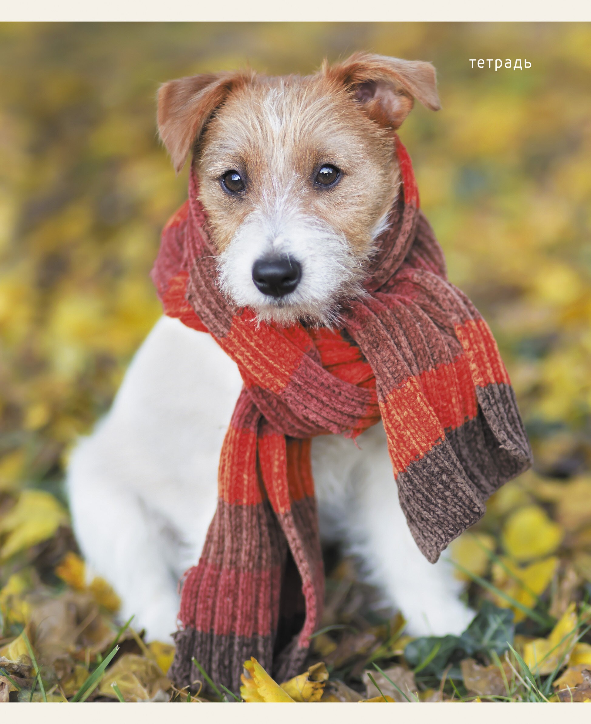 Пушистые друзья – ТК968386 Пушистые друзья – ТК968386