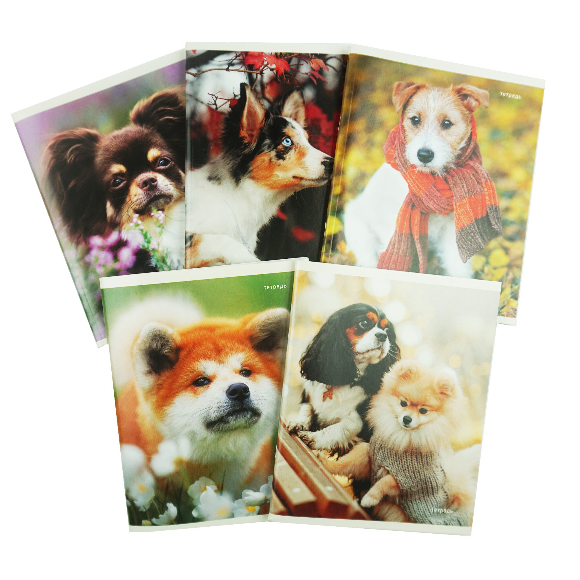 Пушистые друзья – ТК968386 Пушистые друзья – ТК968386