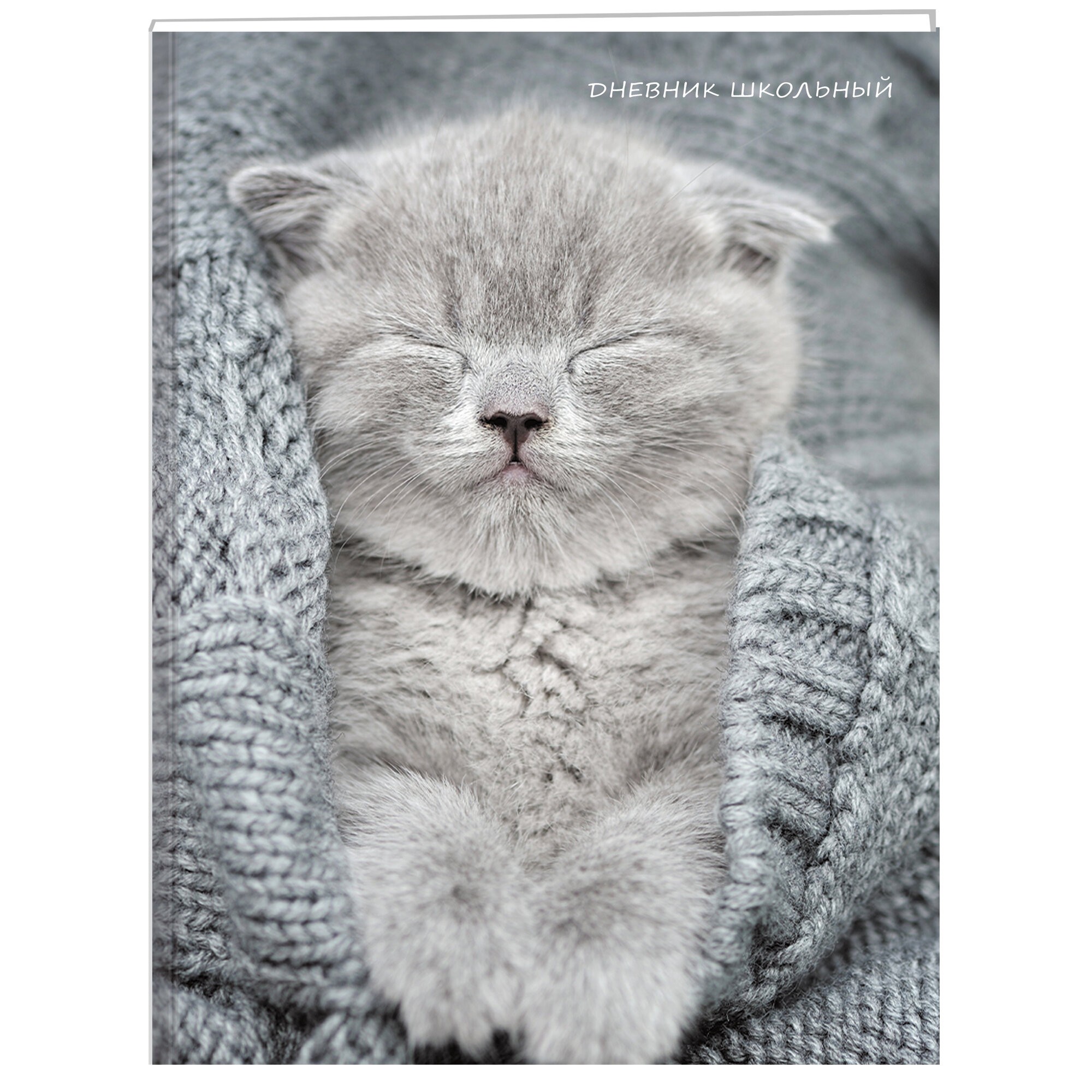 Уютный котик – ДУ234804 Уютный котик – ДУ234804