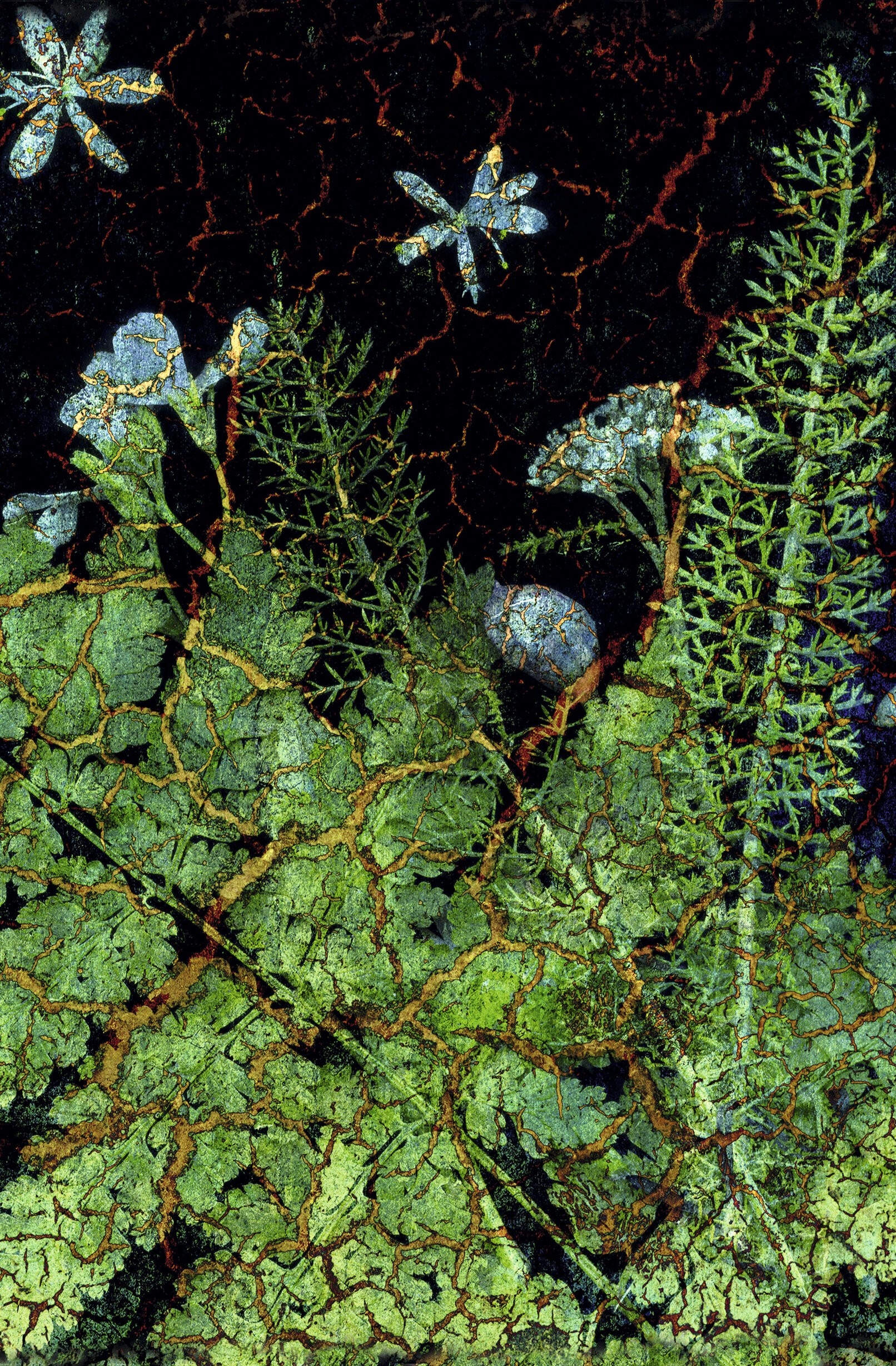 Тайны леса – КЗ51004022 Тайны леса – КЗ51004022