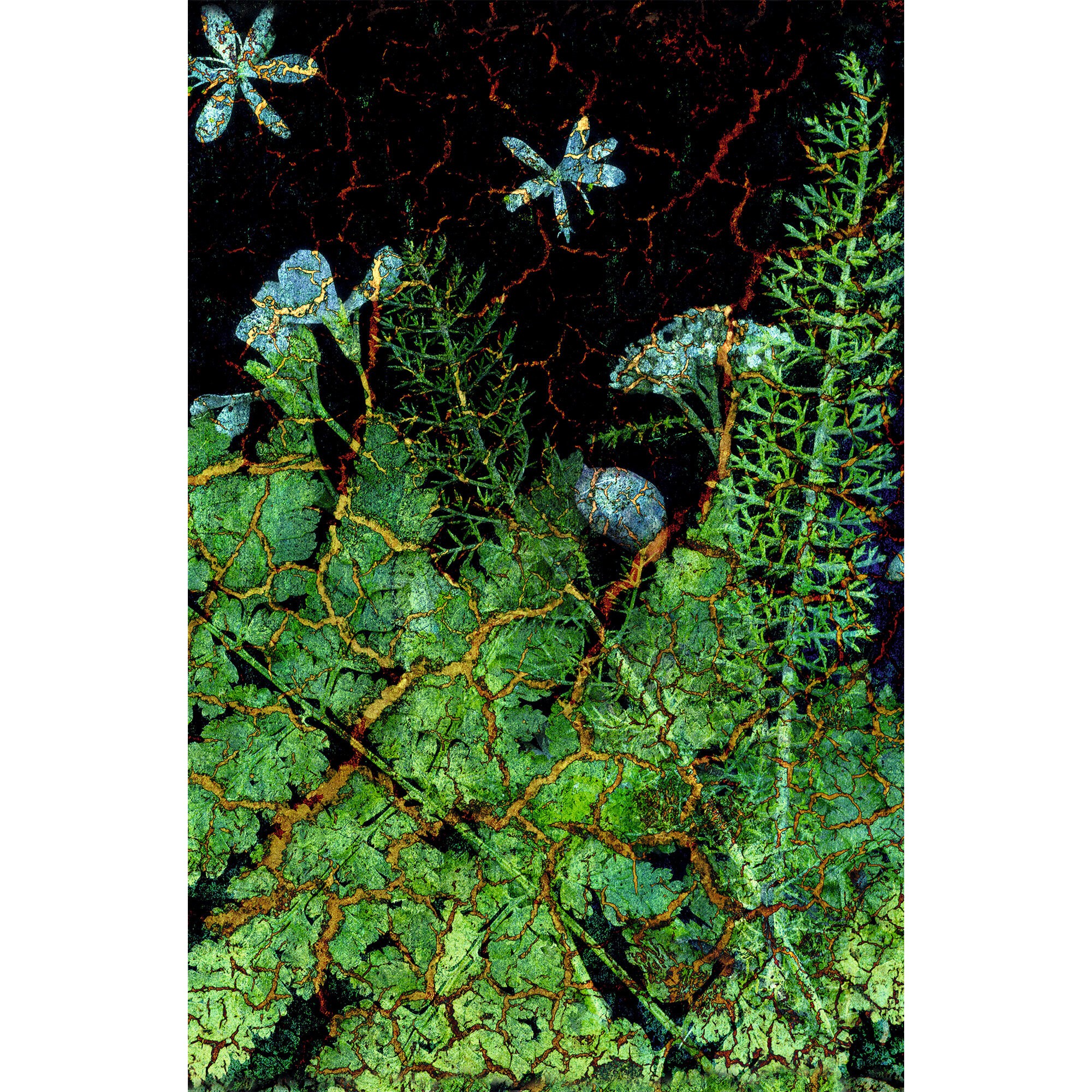 Тайны леса – КЗ51004022 Тайны леса – КЗ51004022