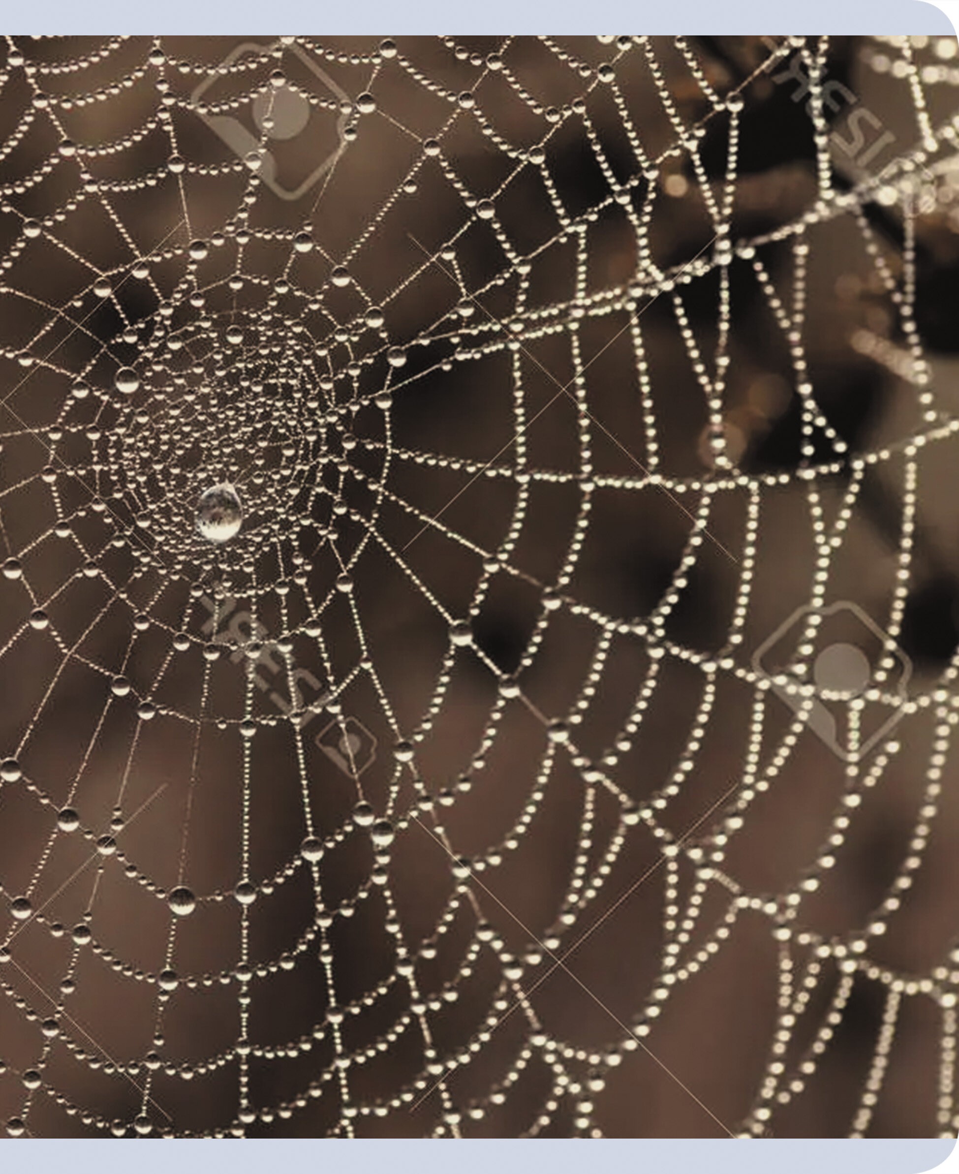 Красота в деталях – ТК968544 Красота в деталях – ТК968544