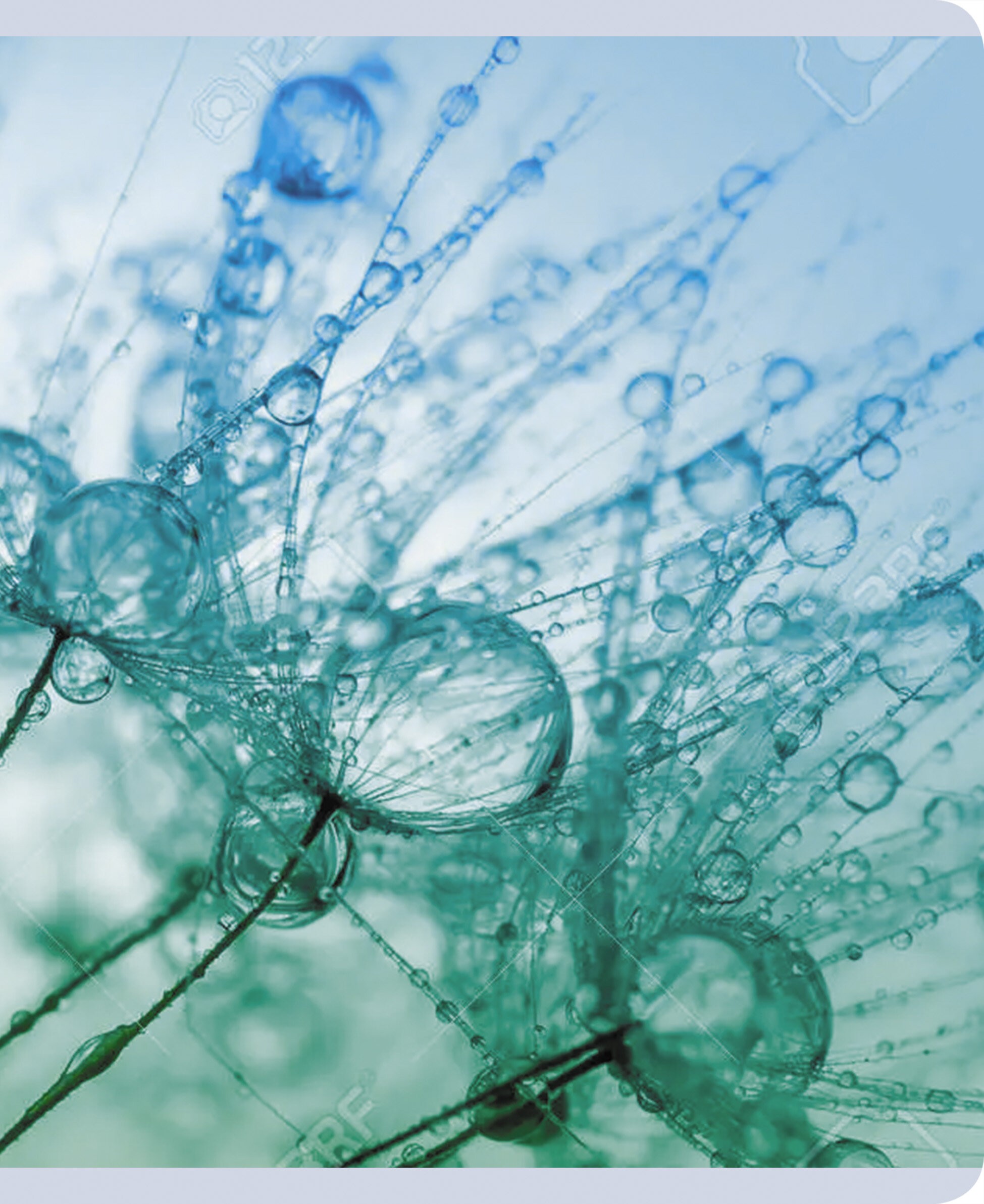 Красота в деталях – ТК968544 Красота в деталях – ТК968544