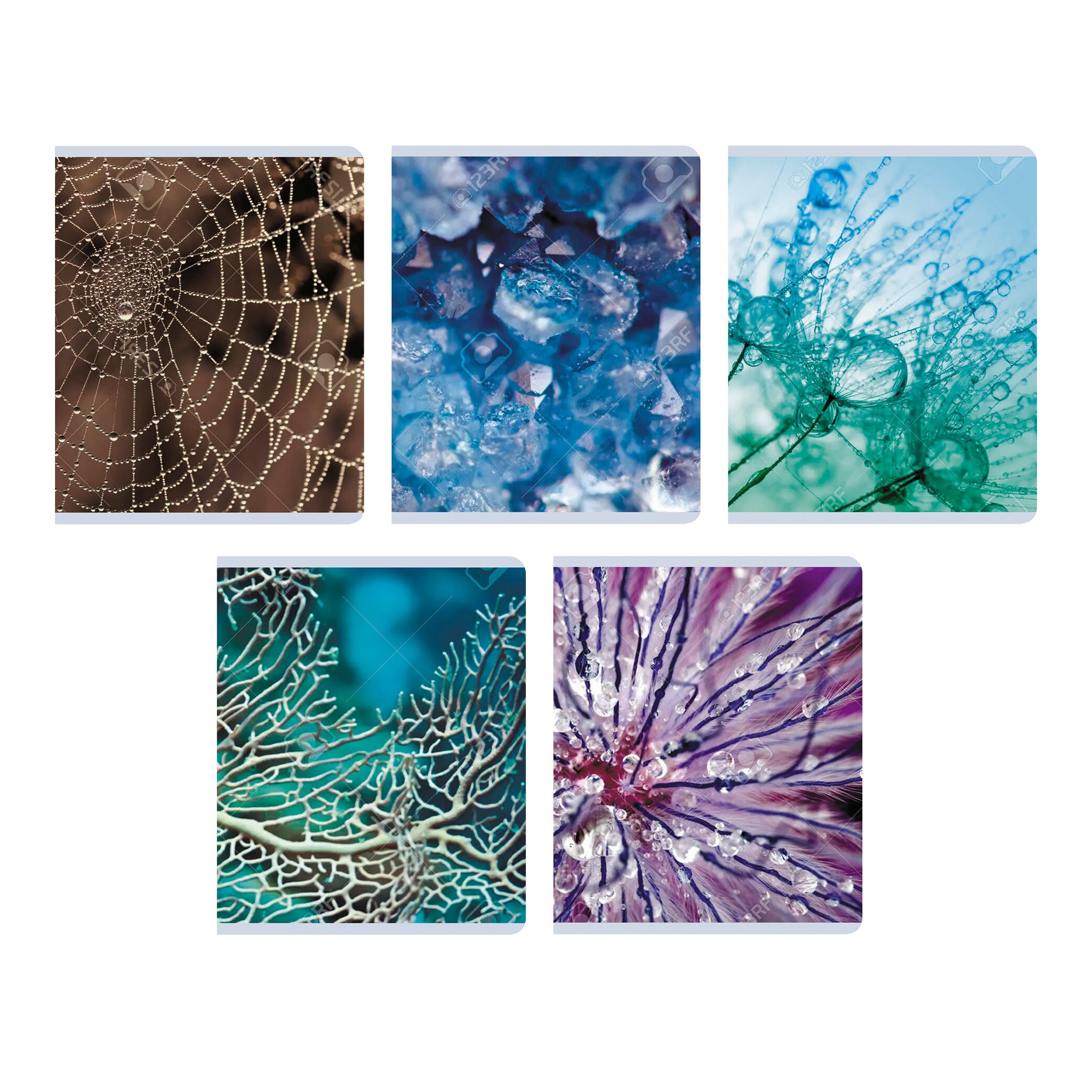 Красота в деталях – ТК968544 Красота в деталях – ТК968544