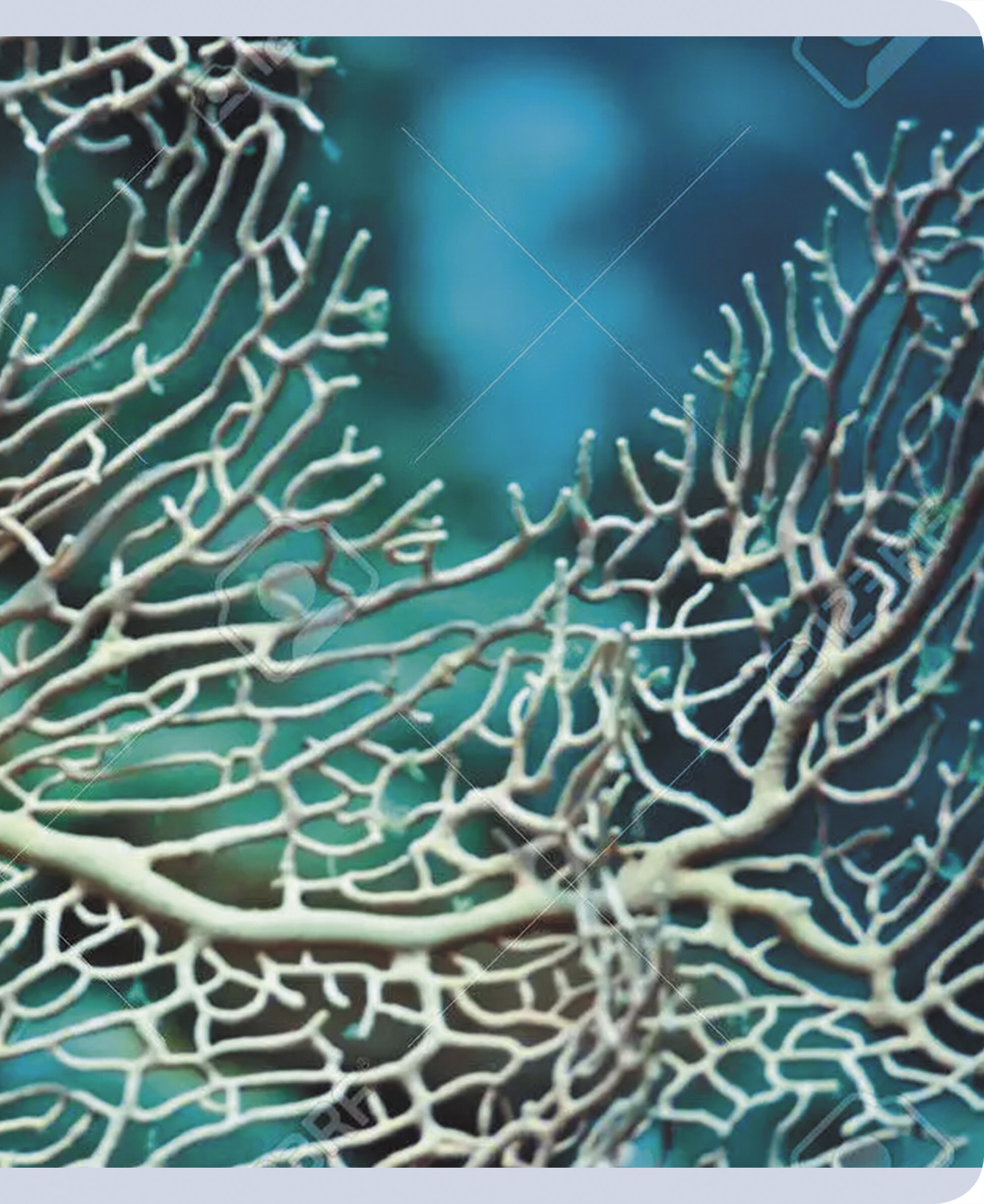 Красота в деталях – ТК968544 Красота в деталях – ТК968544