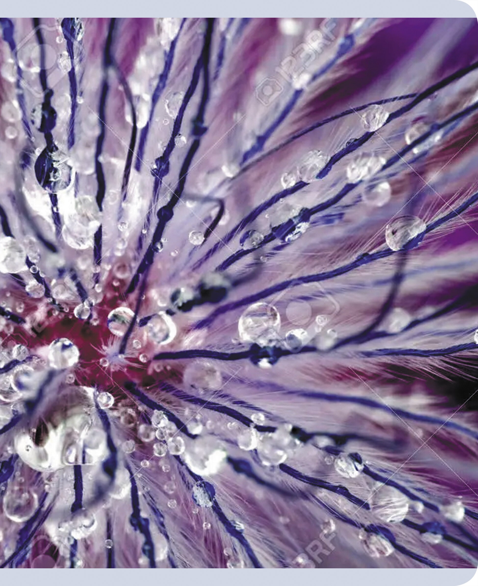 Красота в деталях – ТК968544 Красота в деталях – ТК968544