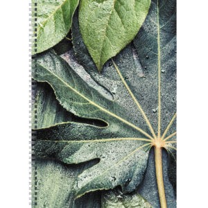 Главная страница