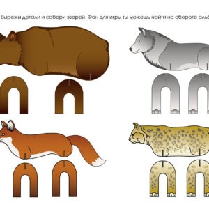 Главная страница