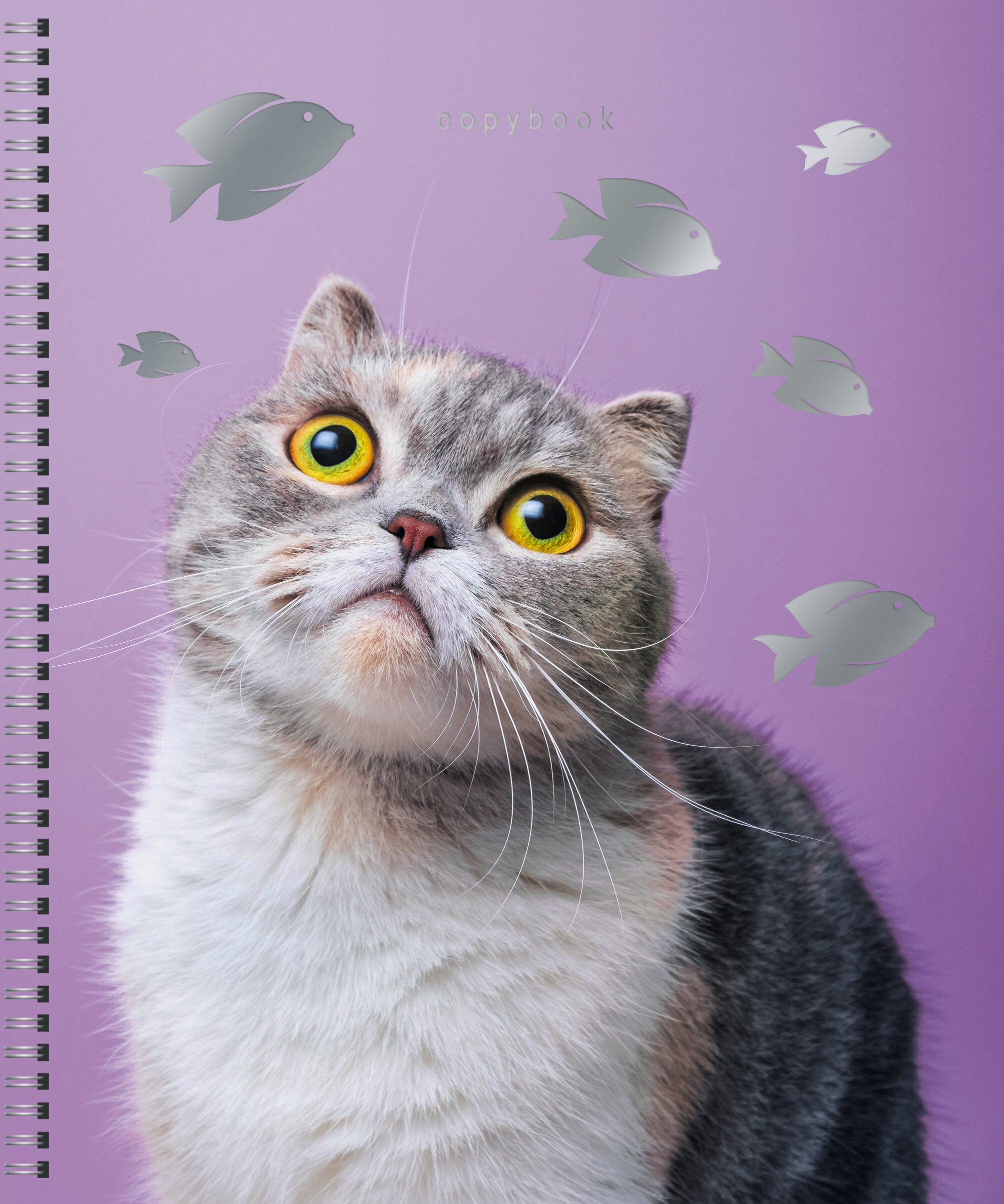 Котики – ТСФ807718 Котики – ТСФ807718