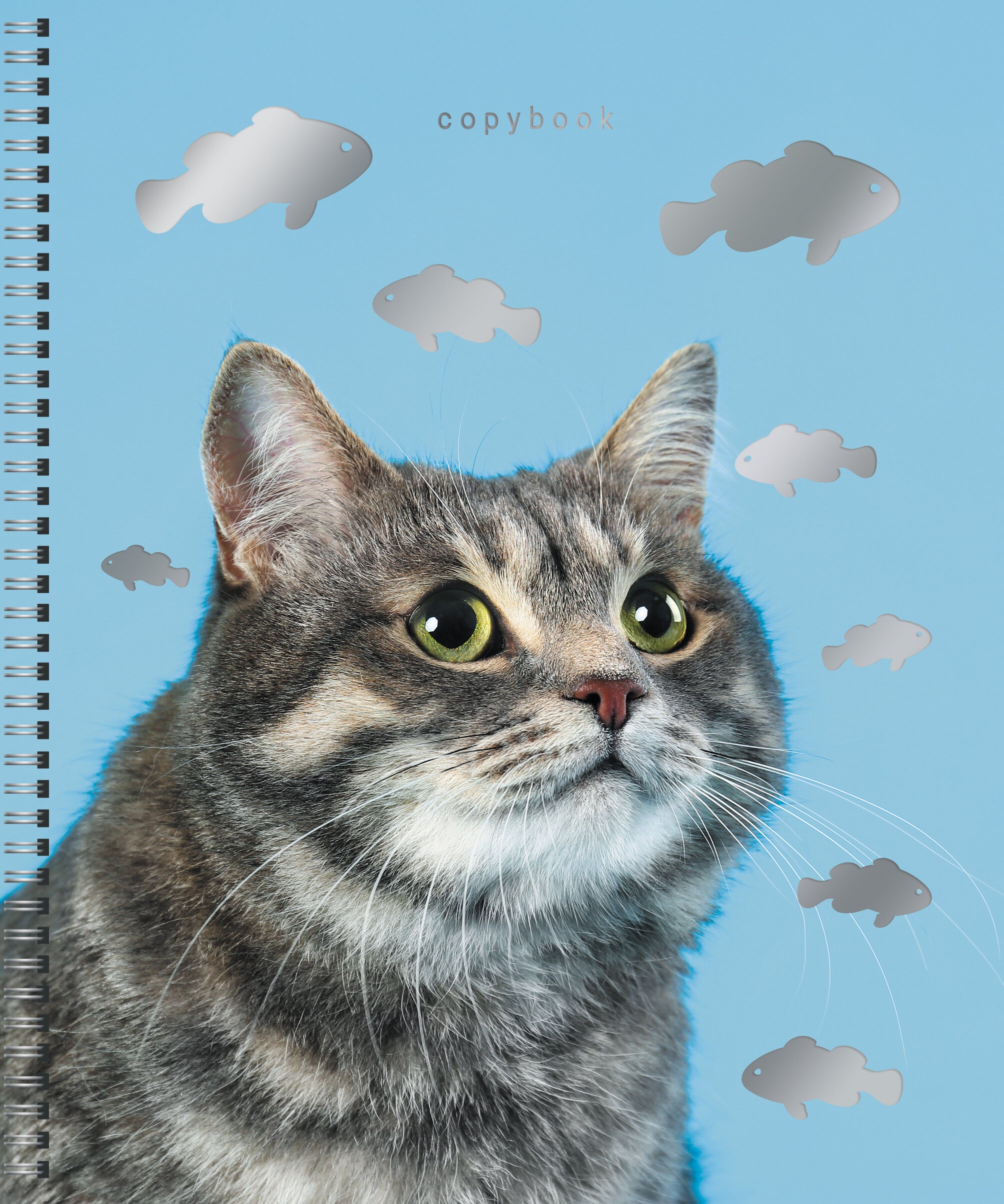 Котики – ТСФ807718 Котики – ТСФ807718