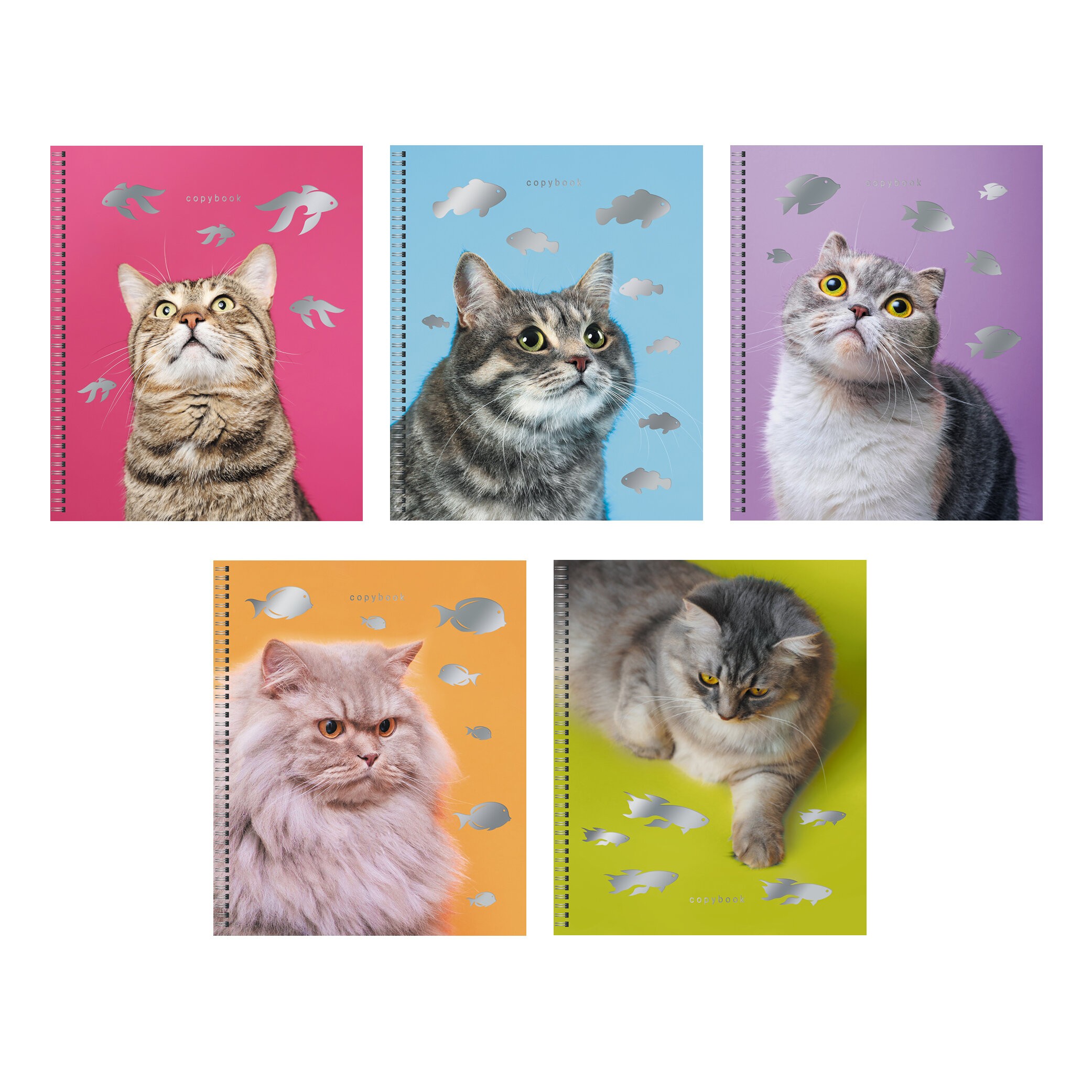 Котики – ТСФ807718 Котики – ТСФ807718