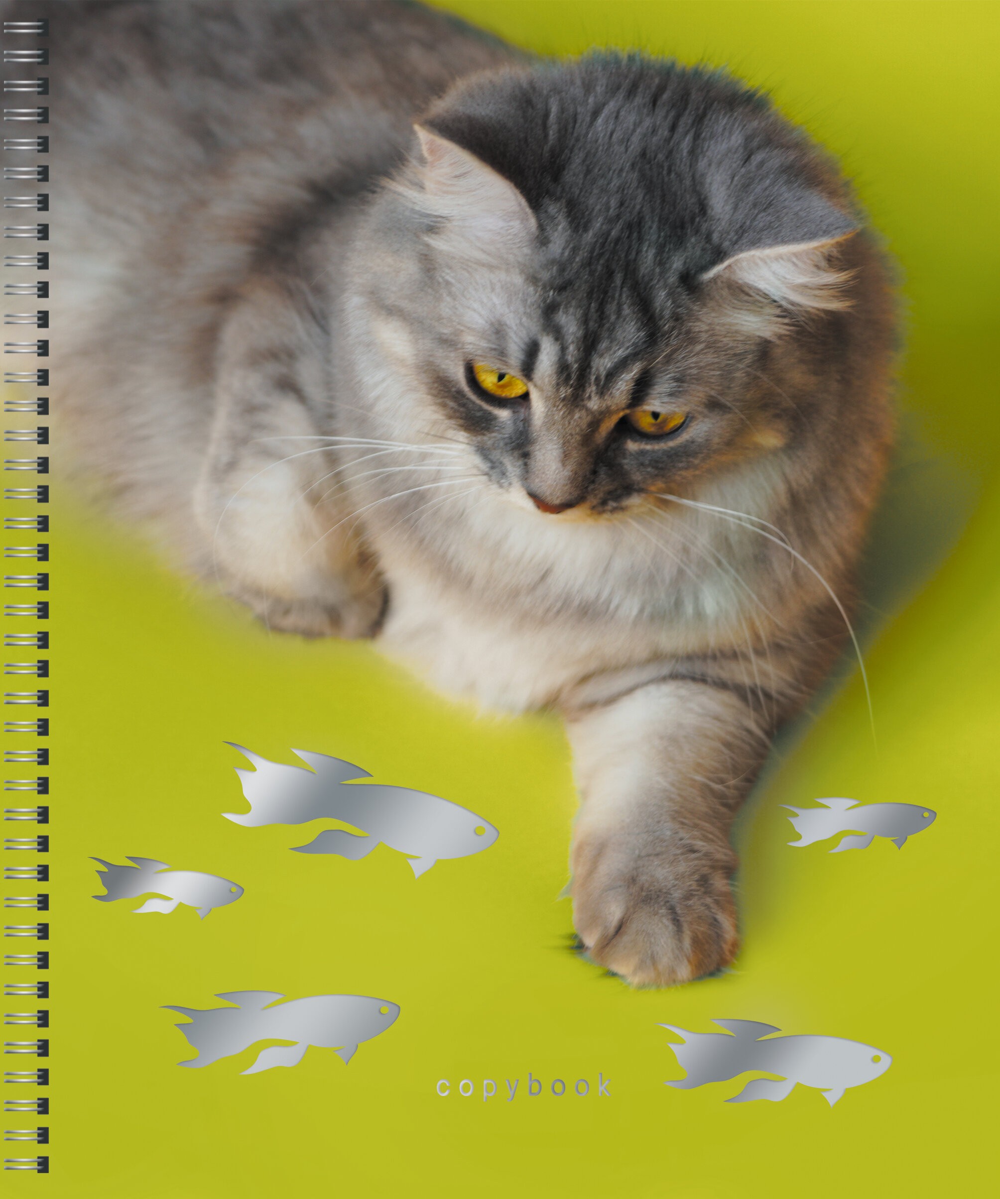 Котики – ТСФ807718 Котики – ТСФ807718