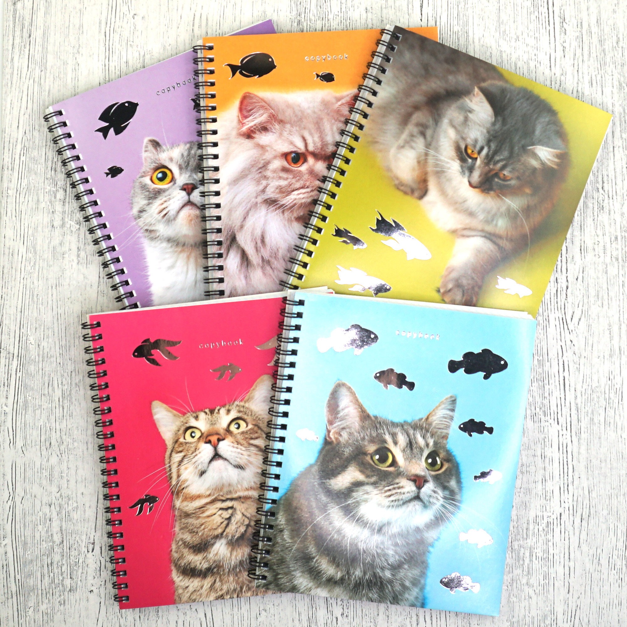 Котики – ТСФ807718 Котики – ТСФ807718