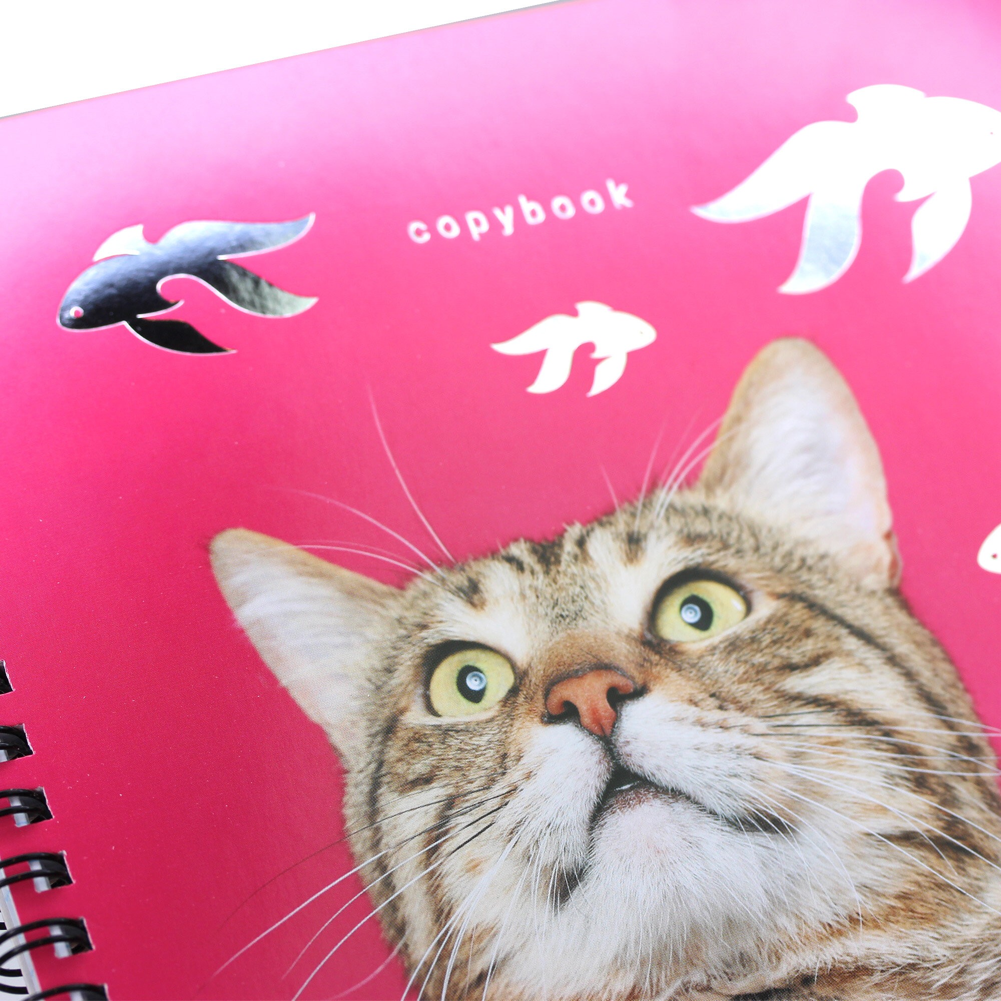 Котики – ТСФ807718 Котики – ТСФ807718