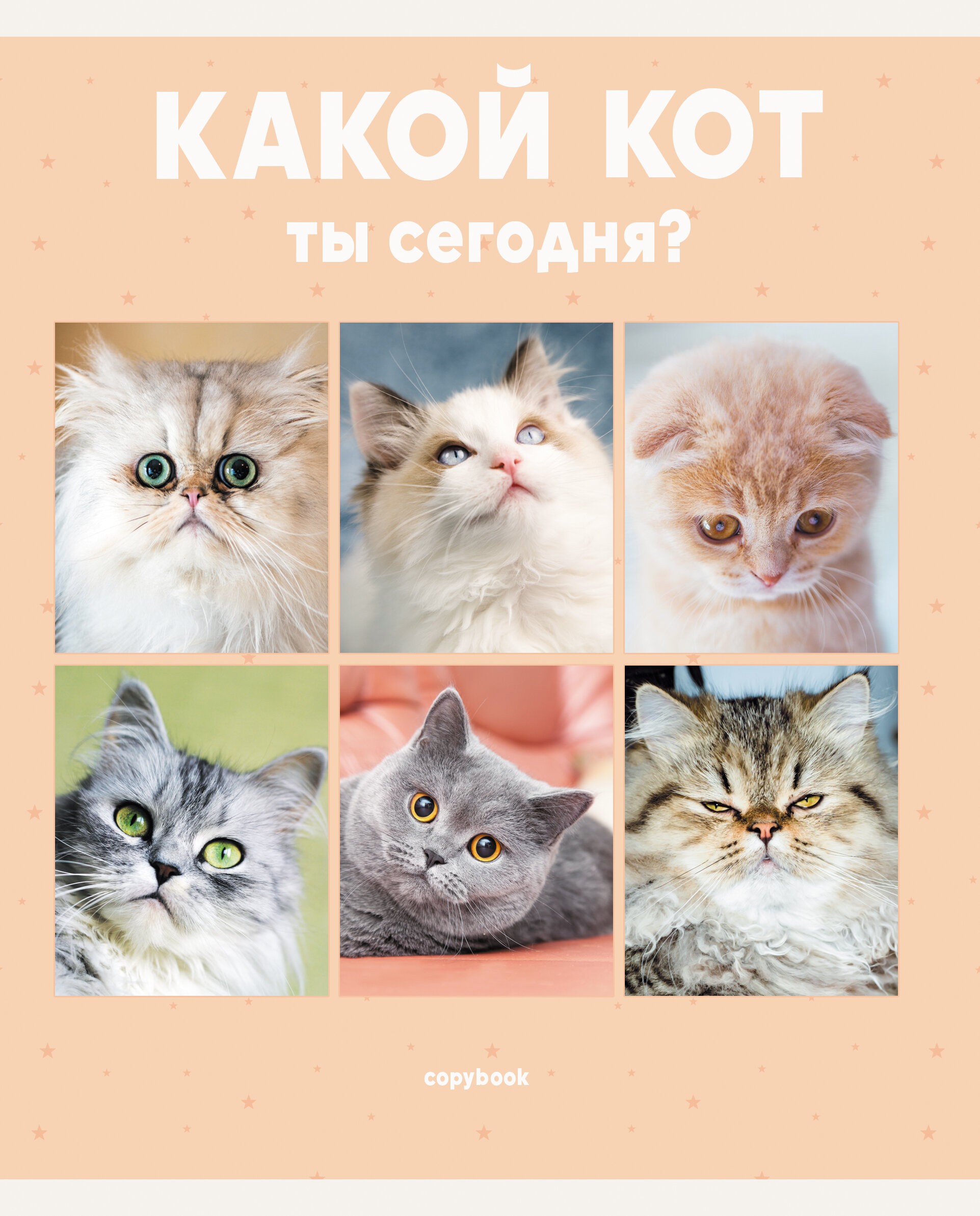 Котики – ТЛ967811 Котики – ТЛ967811