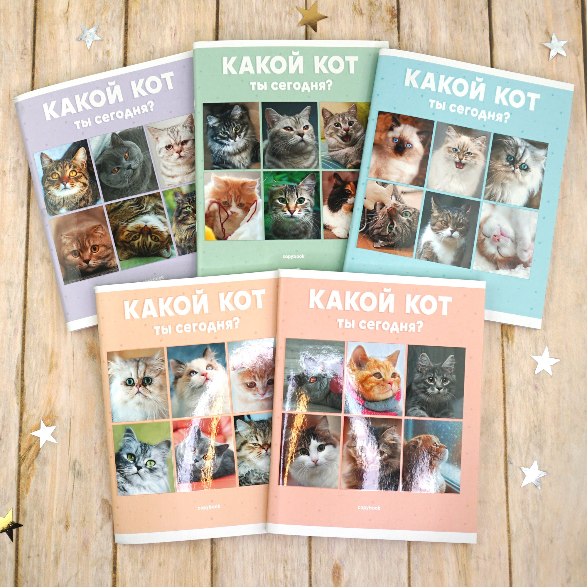 Котики – ТЛ967811 Котики – ТЛ967811