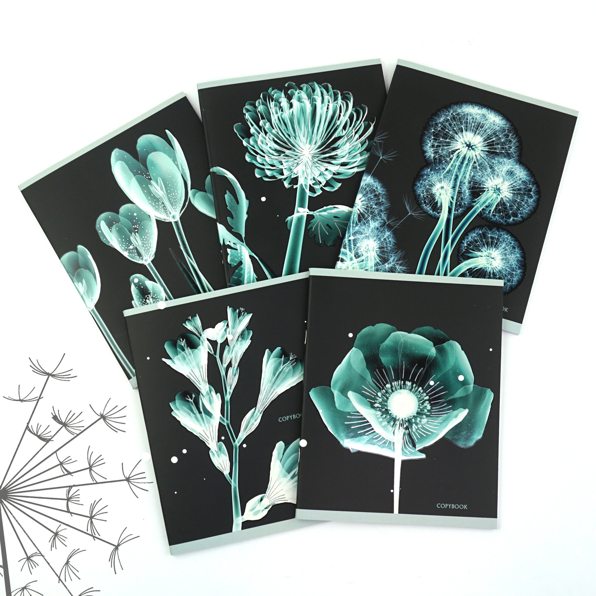 X-ray – ТКФЛ487911 X-ray – ТКФЛ487911