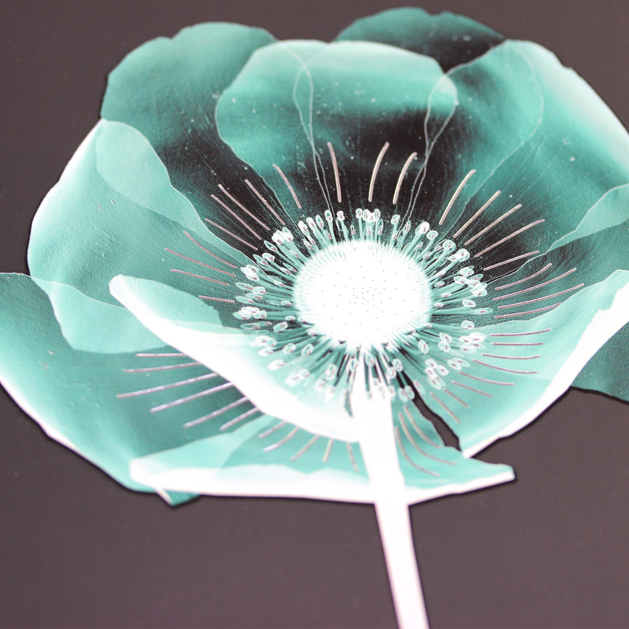 X-ray – ТКФЛ487911 X-ray – ТКФЛ487911