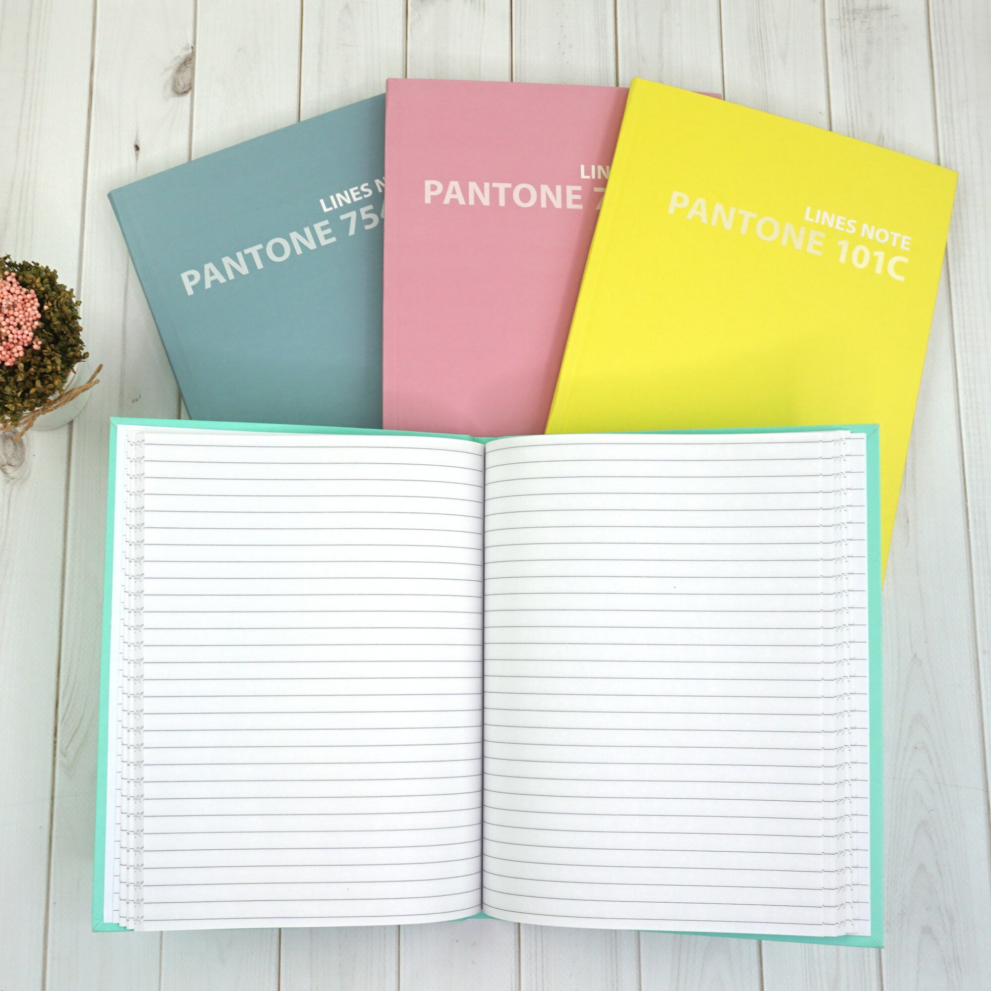 Pantone line. Color '21. No. 1 – ЕТИЛ596368 Pantone line. Color '21. No. 1 – ЕТИЛ596368