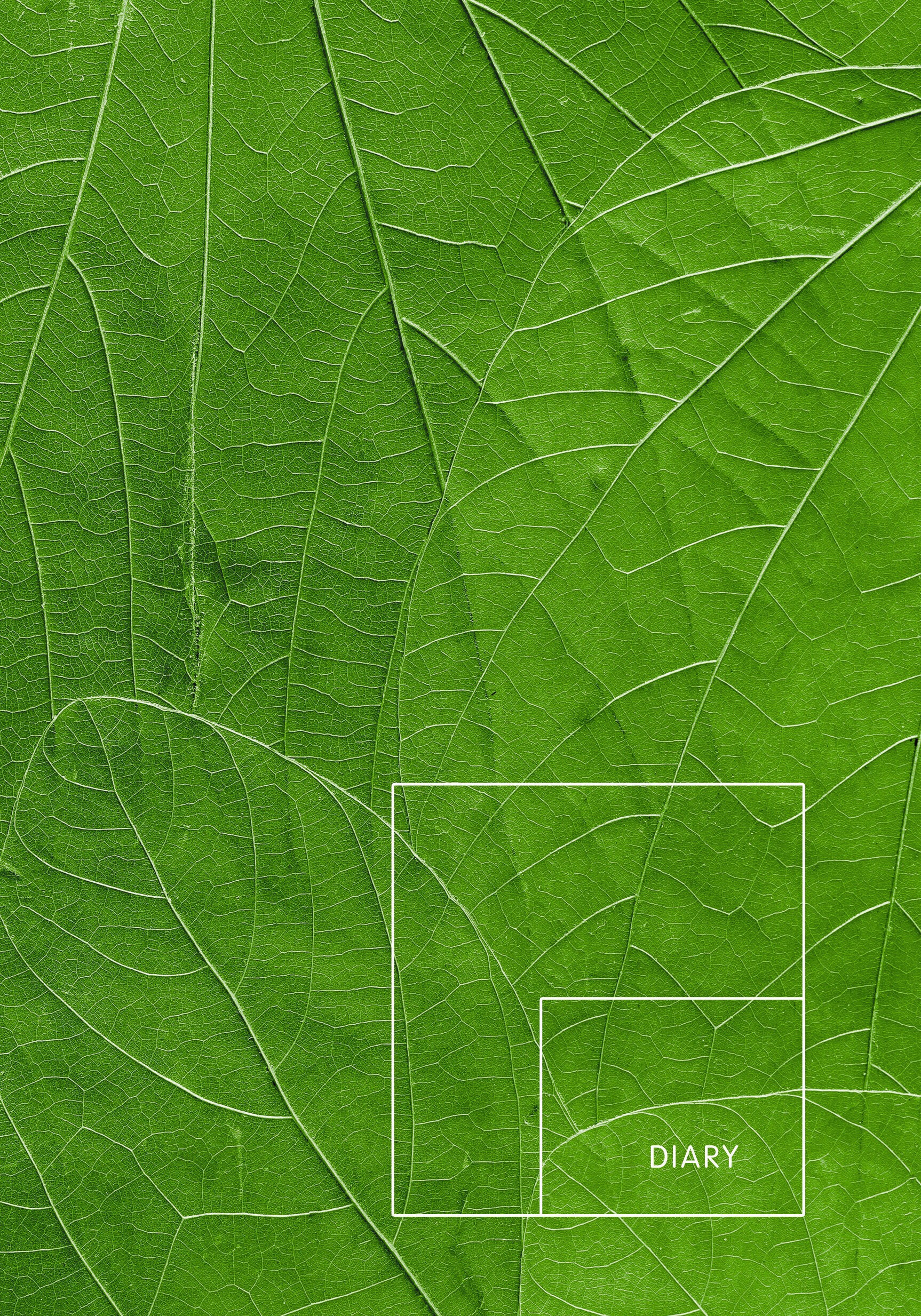 Сочные листья – ЕЖ22512804 Сочные листья – ЕЖ22512804