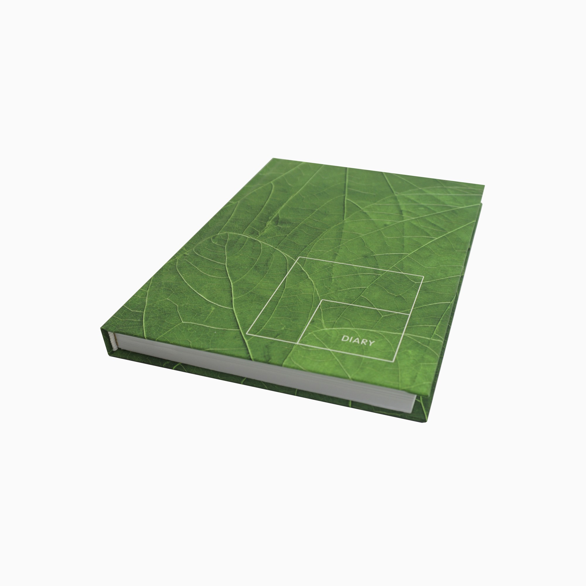 Сочные листья – ЕЖ22512804 Сочные листья – ЕЖ22512804