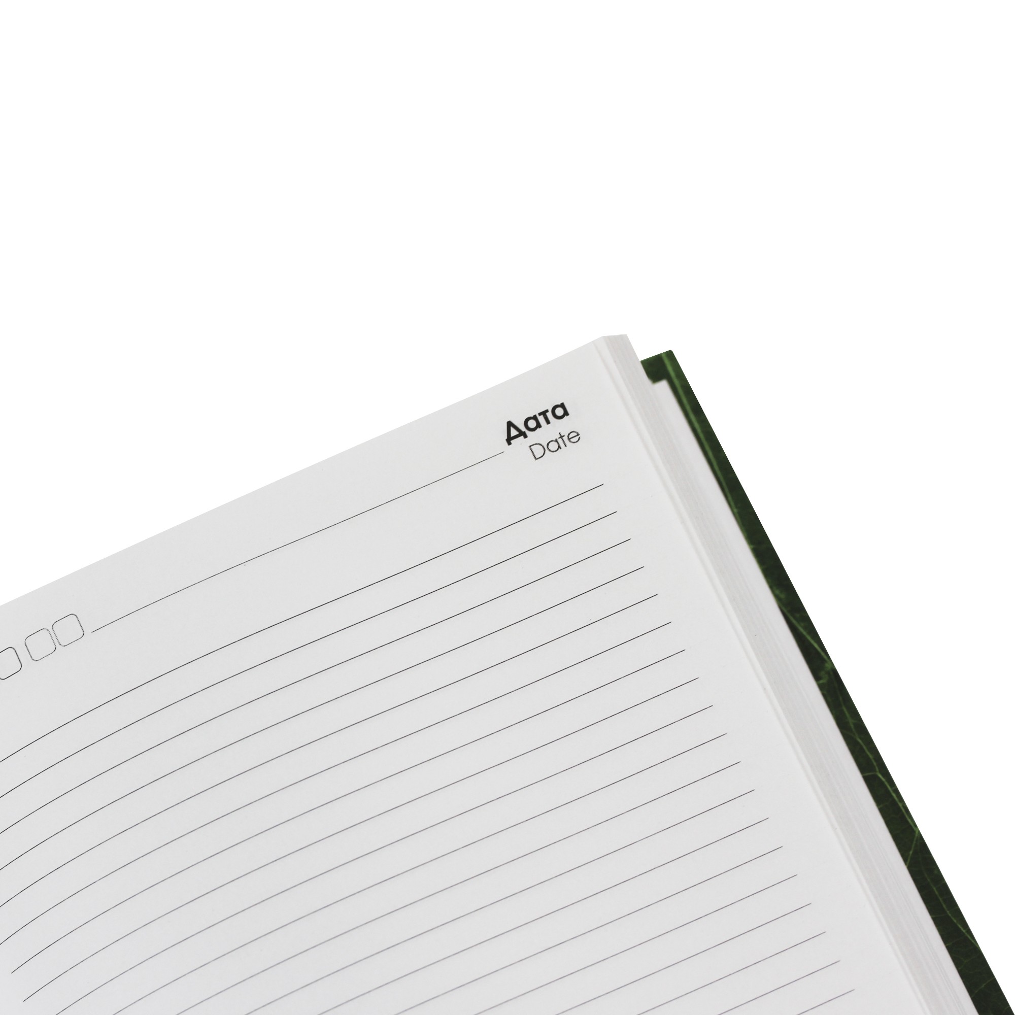 Сочные листья – ЕЖ22512804 Сочные листья – ЕЖ22512804