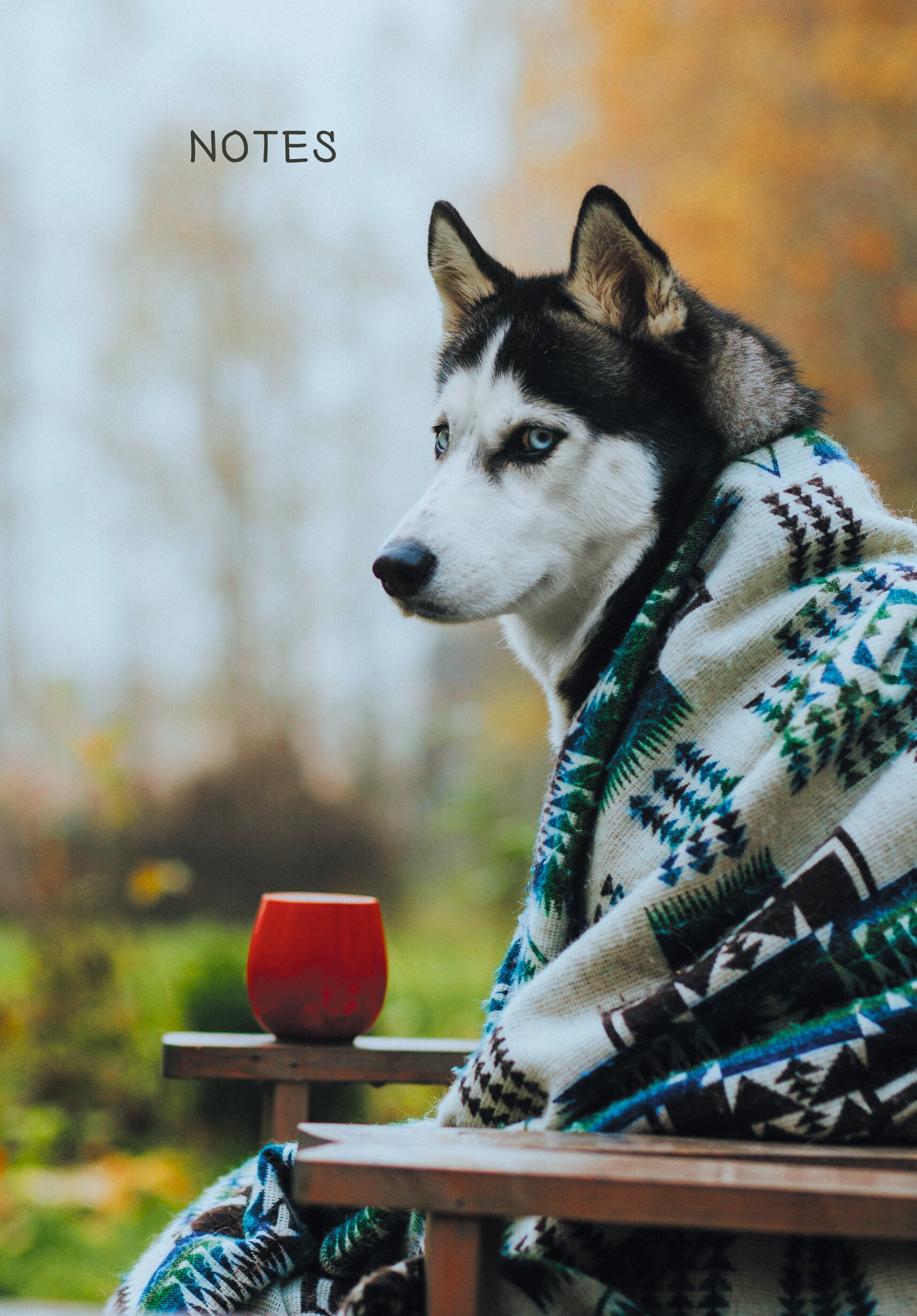 Осенний друг – КЗ51003499 Осенний друг – КЗ51003499