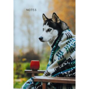 Главная страница